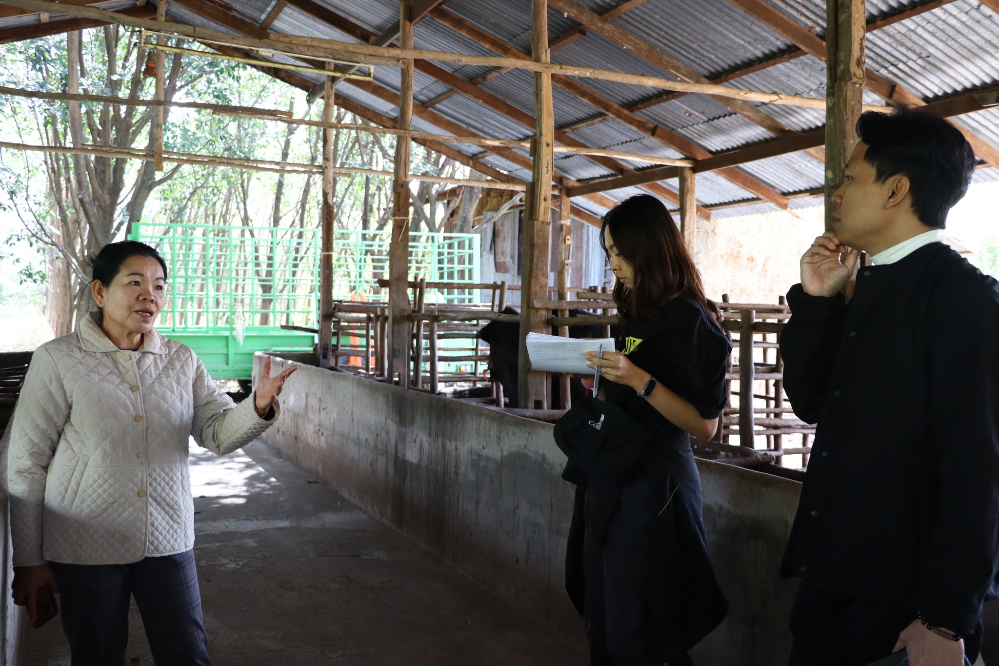 title - กพก. ติดตามผลการดำเนินงานของสมาชิกกลุ่มแปลงใหญ่โคขุน ม. 7 ต.หนองแหน อ.กุดชุม จ.ยโสธร