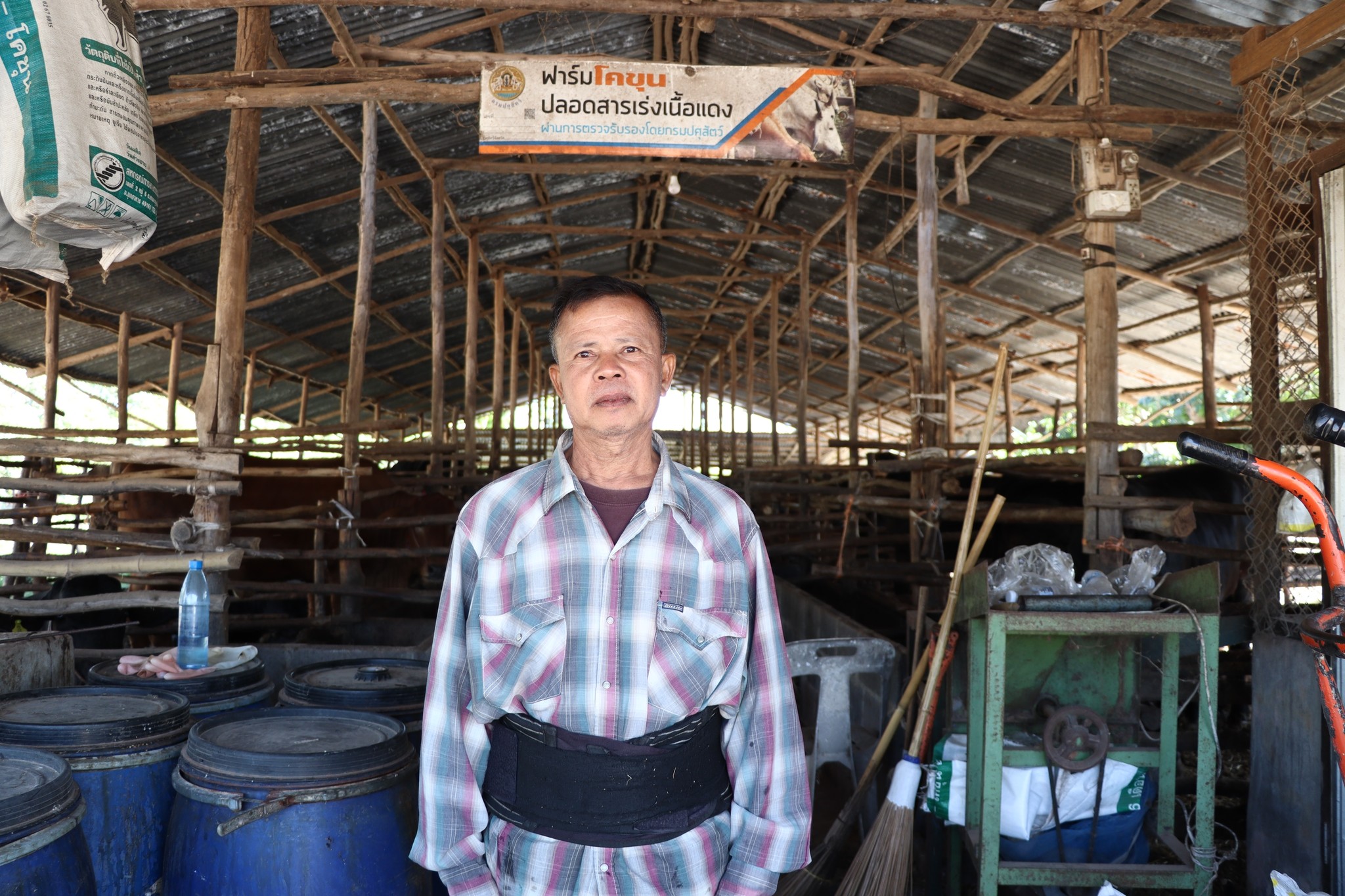 title - กพก. ติดตามผลการดำเนินงานของสมาชิกกลุ่มแปลงใหญ่โคขุน ม. 7 ต.หนองแหน อ.กุดชุม จ.ยโสธร