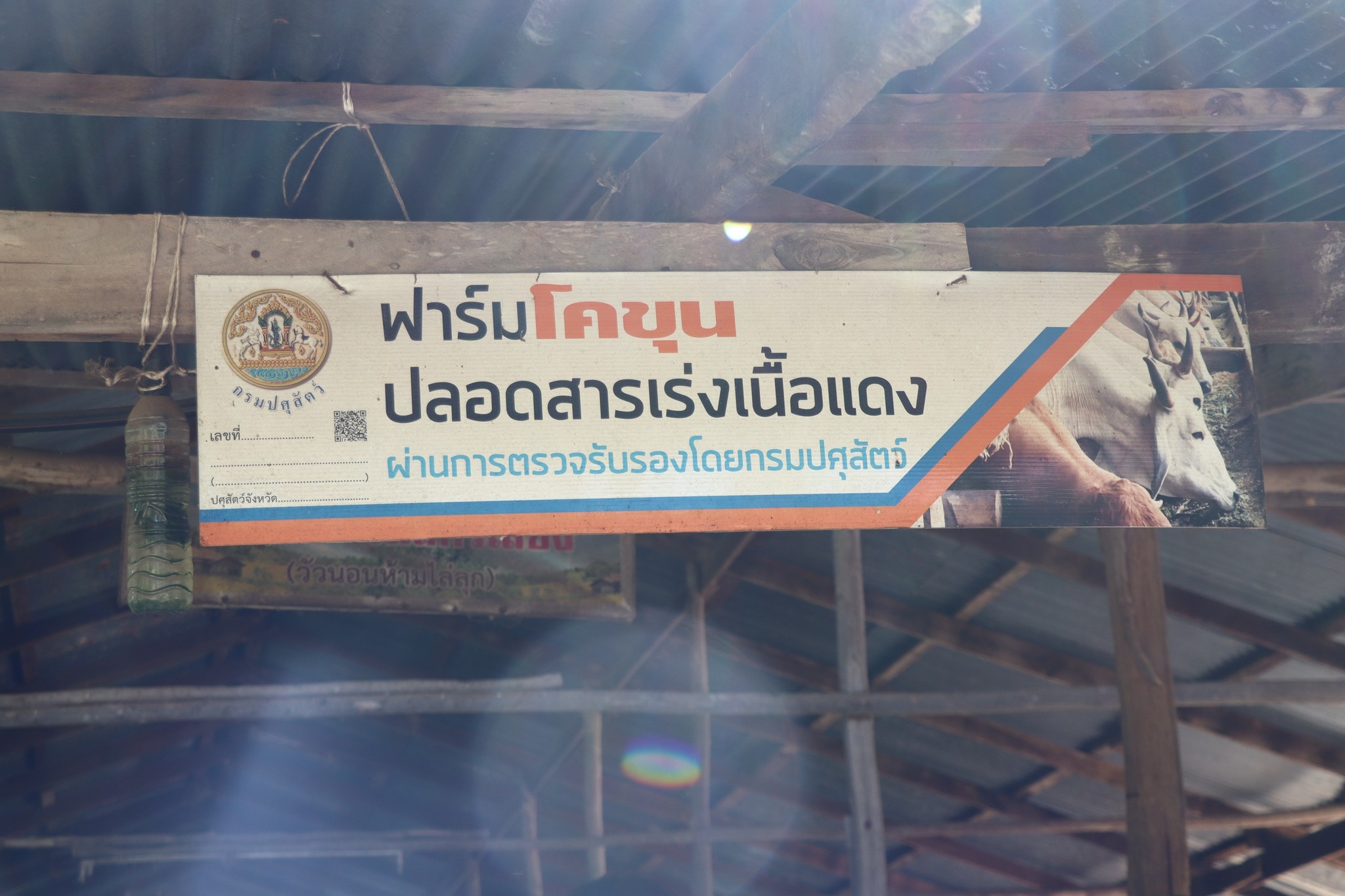 title - กพก. ติดตามผลการดำเนินงานของสมาชิกกลุ่มแปลงใหญ่โคขุน ม. 7 ต.หนองแหน อ.กุดชุม จ.ยโสธร