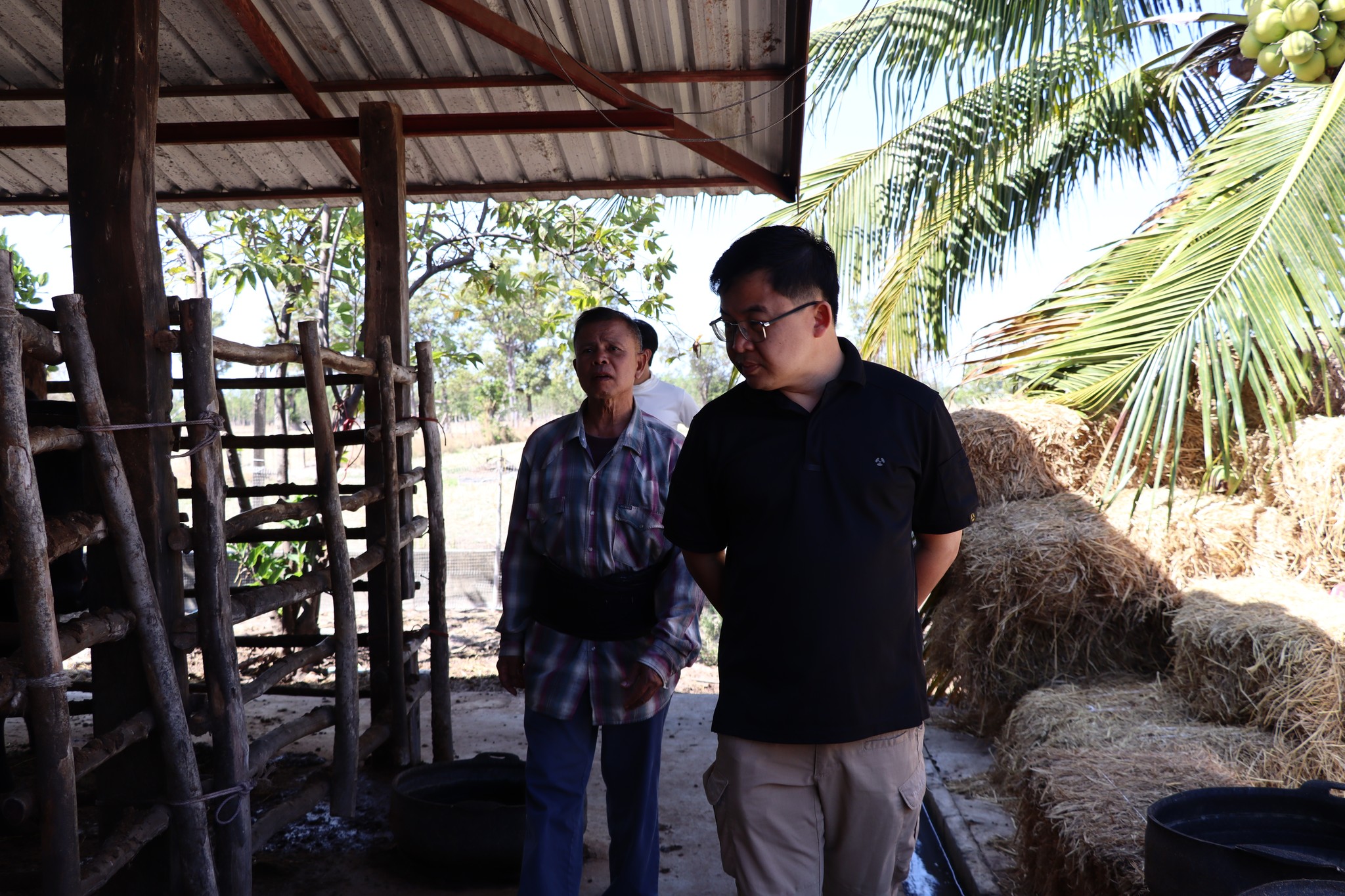 title - กพก. ติดตามผลการดำเนินงานของสมาชิกกลุ่มแปลงใหญ่โคขุน ม. 7 ต.หนองแหน อ.กุดชุม จ.ยโสธร