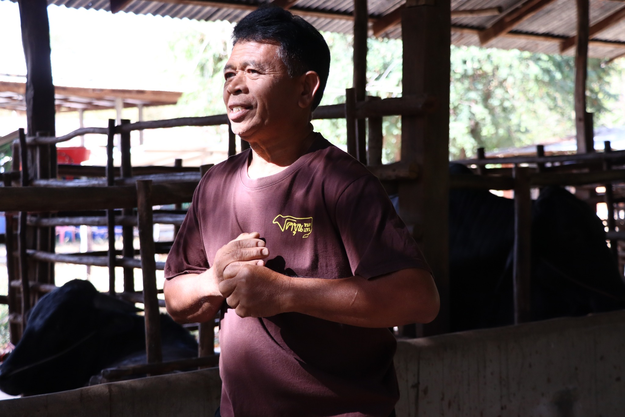 title - กพก. ติดตามผลการดำเนินงานของสมาชิกกลุ่มแปลงใหญ่โคขุน ม. 7 ต.หนองแหน อ.กุดชุม จ.ยโสธร