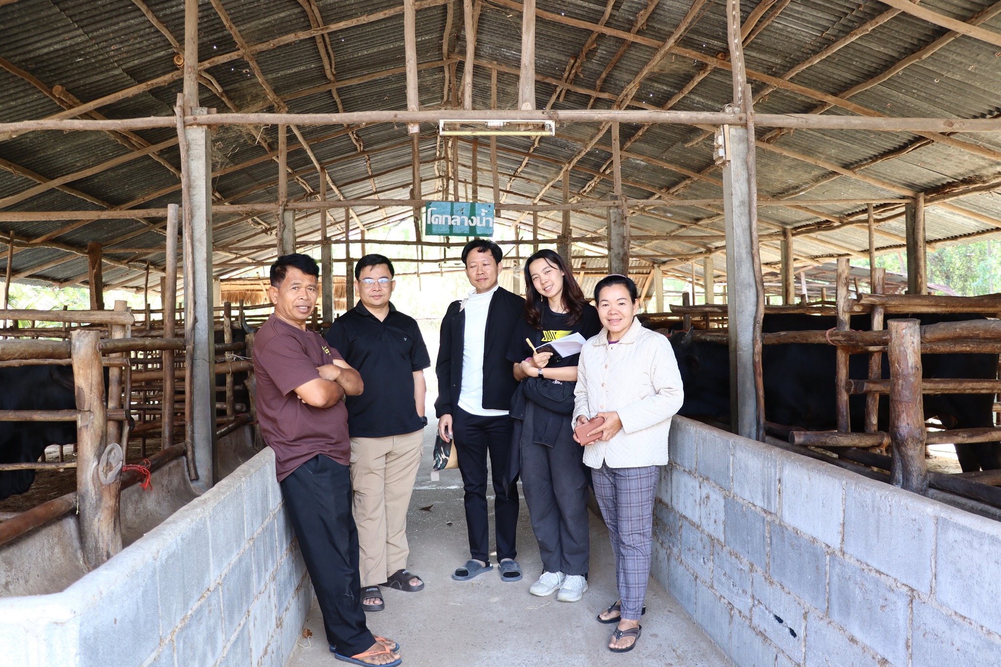 title - กพก. ติดตามผลการดำเนินงานของสมาชิกกลุ่มแปลงใหญ่โคขุน ม. 7 ต.หนองแหน อ.กุดชุม จ.ยโสธร