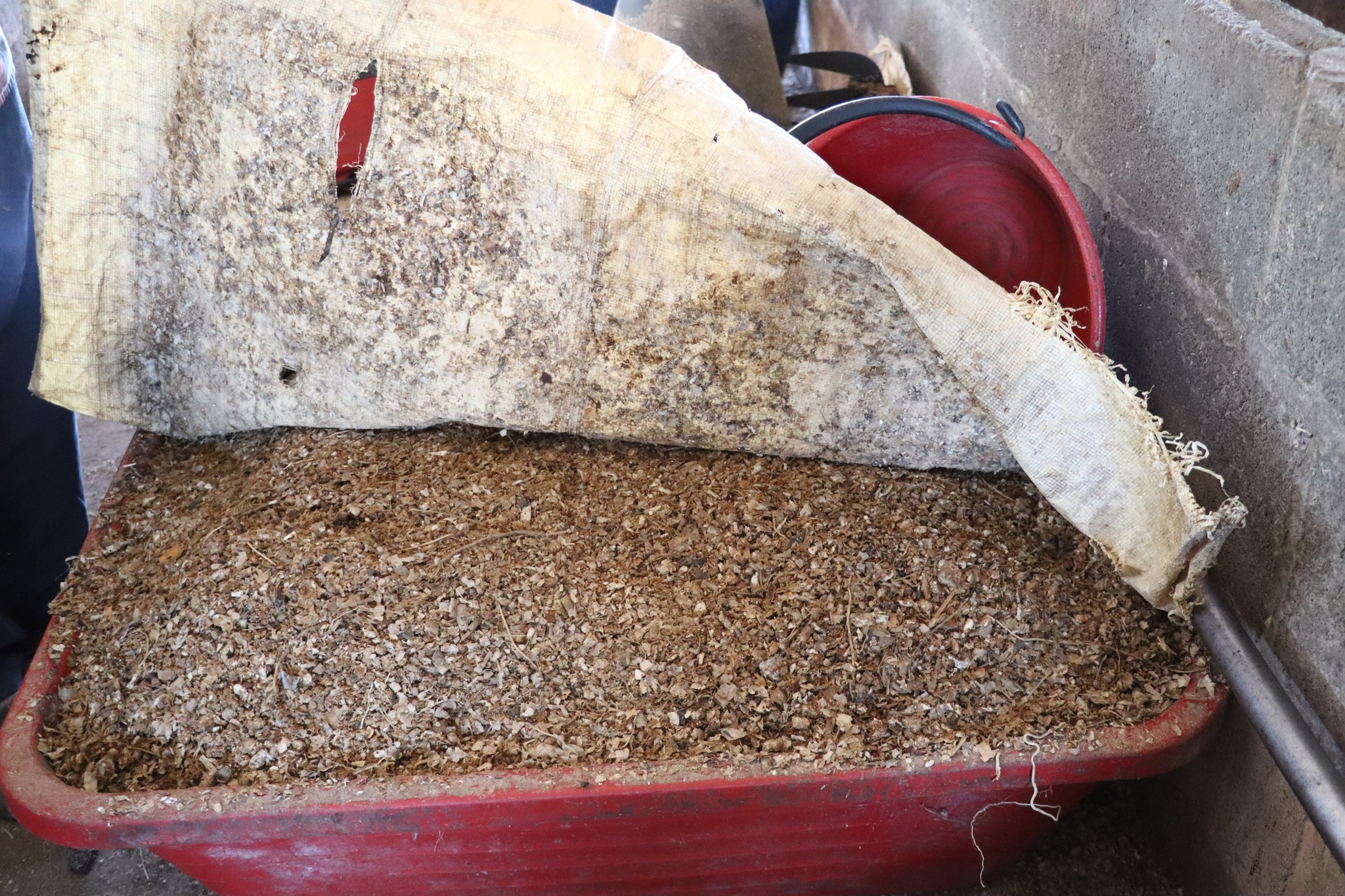 title - กพก. ติดตามผลการดำเนินงานของสมาชิกกลุ่มแปลงใหญ่โคขุน ม. 7 ต.หนองแหน อ.กุดชุม จ.ยโสธร