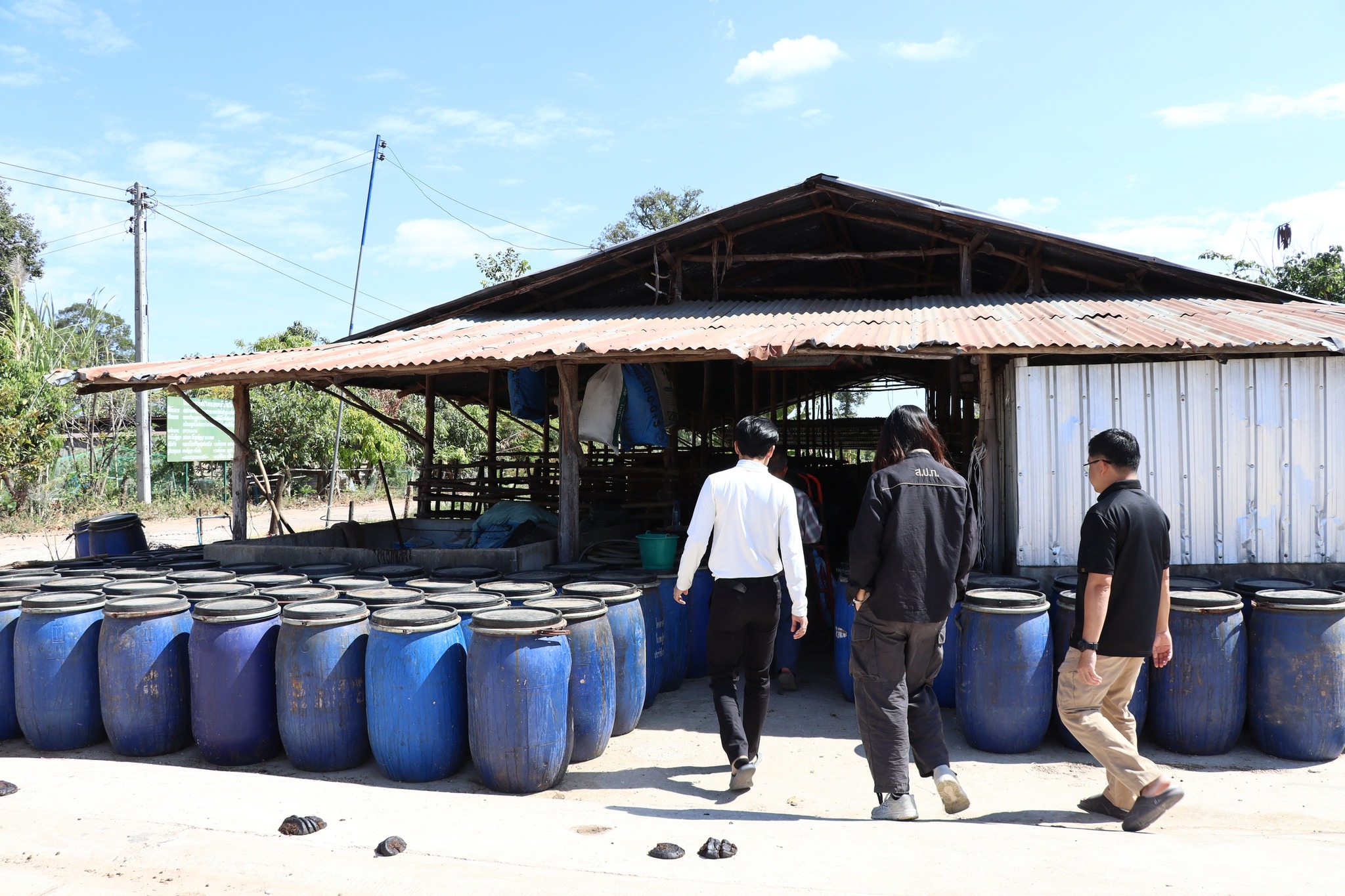 title - กพก. ติดตามผลการดำเนินงานของสมาชิกกลุ่มแปลงใหญ่โคขุน ม. 7 ต.หนองแหน อ.กุดชุม จ.ยโสธร