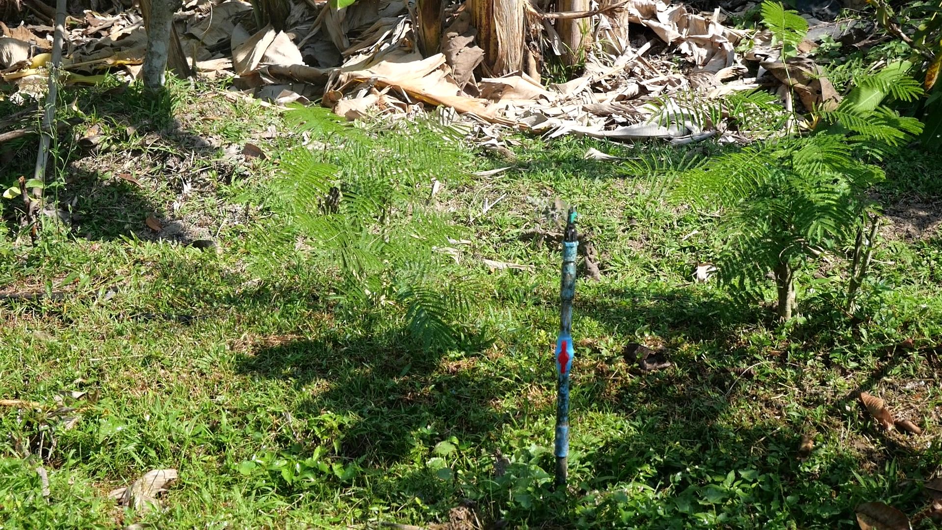 title - กพม. ลงพื้นที่ติดตามผล Smart Farmer จ.ลำพูน อินทรีย์เด่น PGS ปัง