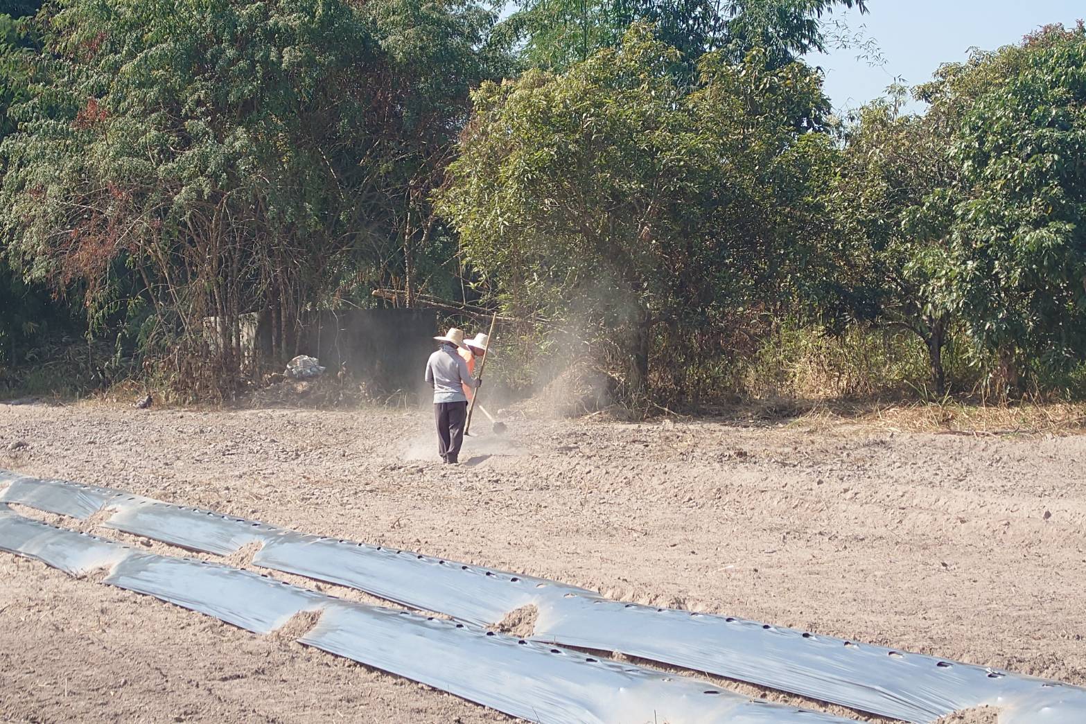 title - กพม. ลงพื้นที่ติดตามผล Smart Farmer จ.ลำพูน อินทรีย์เด่น PGS ปัง