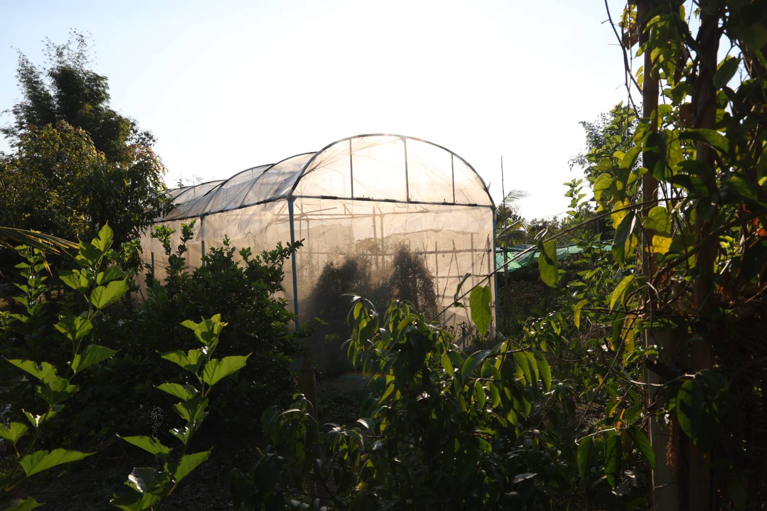 title - กพม. ลงพื้นที่ติดตามผล Smart Farmer จ.ลำพูน อินทรีย์เด่น PGS ปัง