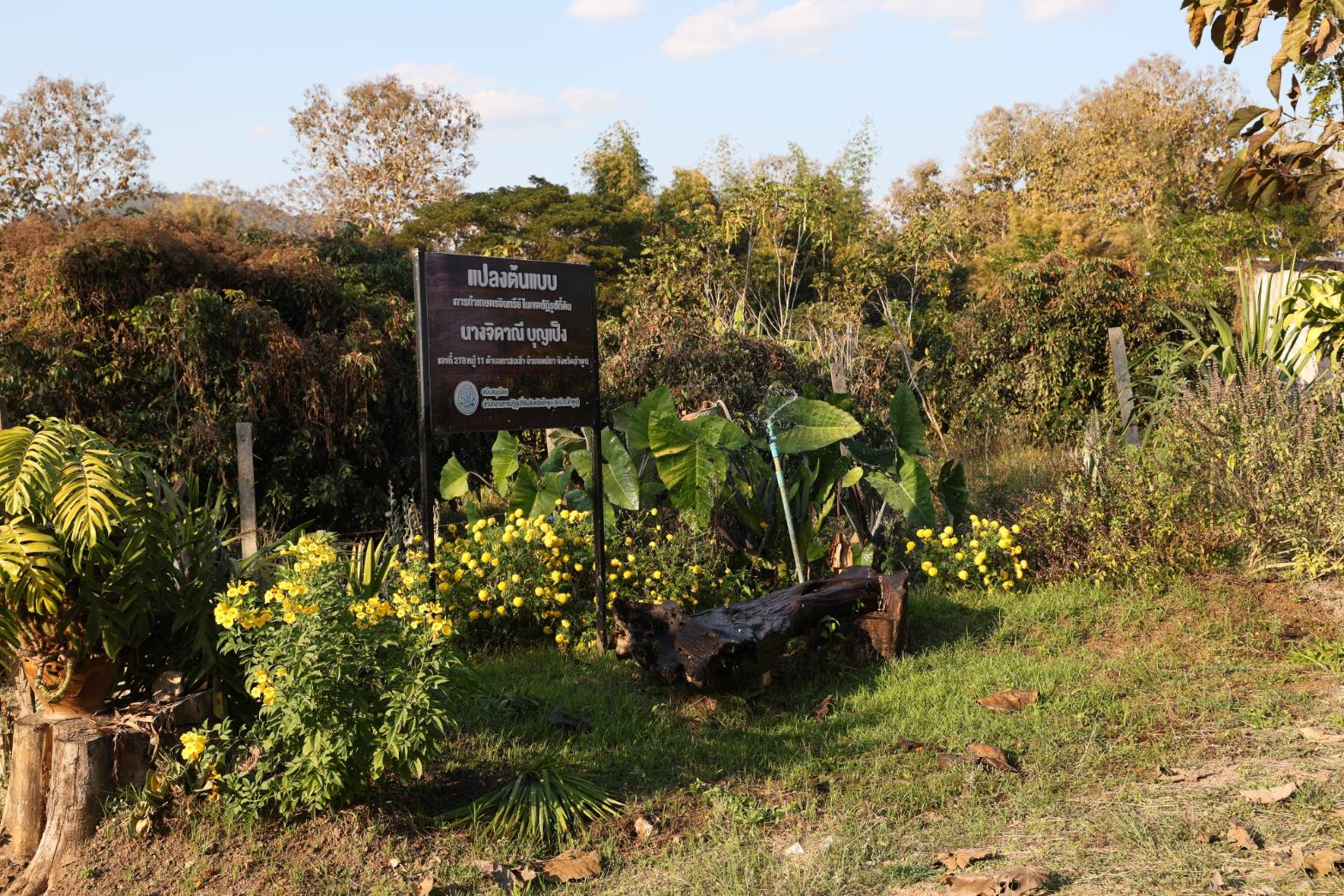 title - กพม. ลงพื้นที่ติดตามผล Smart Farmer จ.ลำพูน อินทรีย์เด่น PGS ปัง