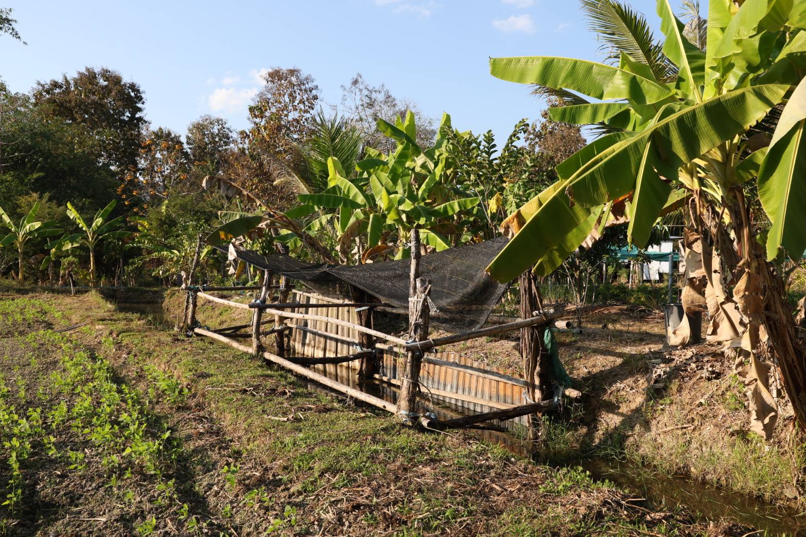 title - กพม. ลงพื้นที่ติดตามผล Smart Farmer จ.ลำพูน อินทรีย์เด่น PGS ปัง