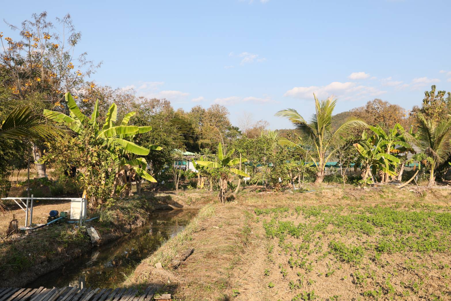 title - กพม. ลงพื้นที่ติดตามผล Smart Farmer จ.ลำพูน อินทรีย์เด่น PGS ปัง