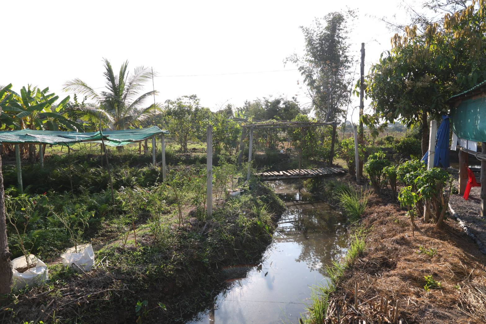 title - กพม. ลงพื้นที่ติดตามผล Smart Farmer จ.ลำพูน อินทรีย์เด่น PGS ปัง