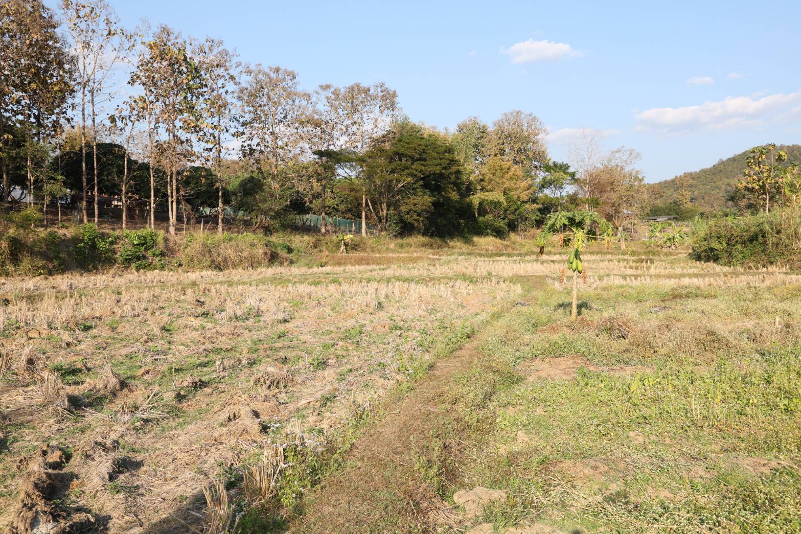 title - กพม. ลงพื้นที่ติดตามผล Smart Farmer จ.ลำพูน อินทรีย์เด่น PGS ปัง