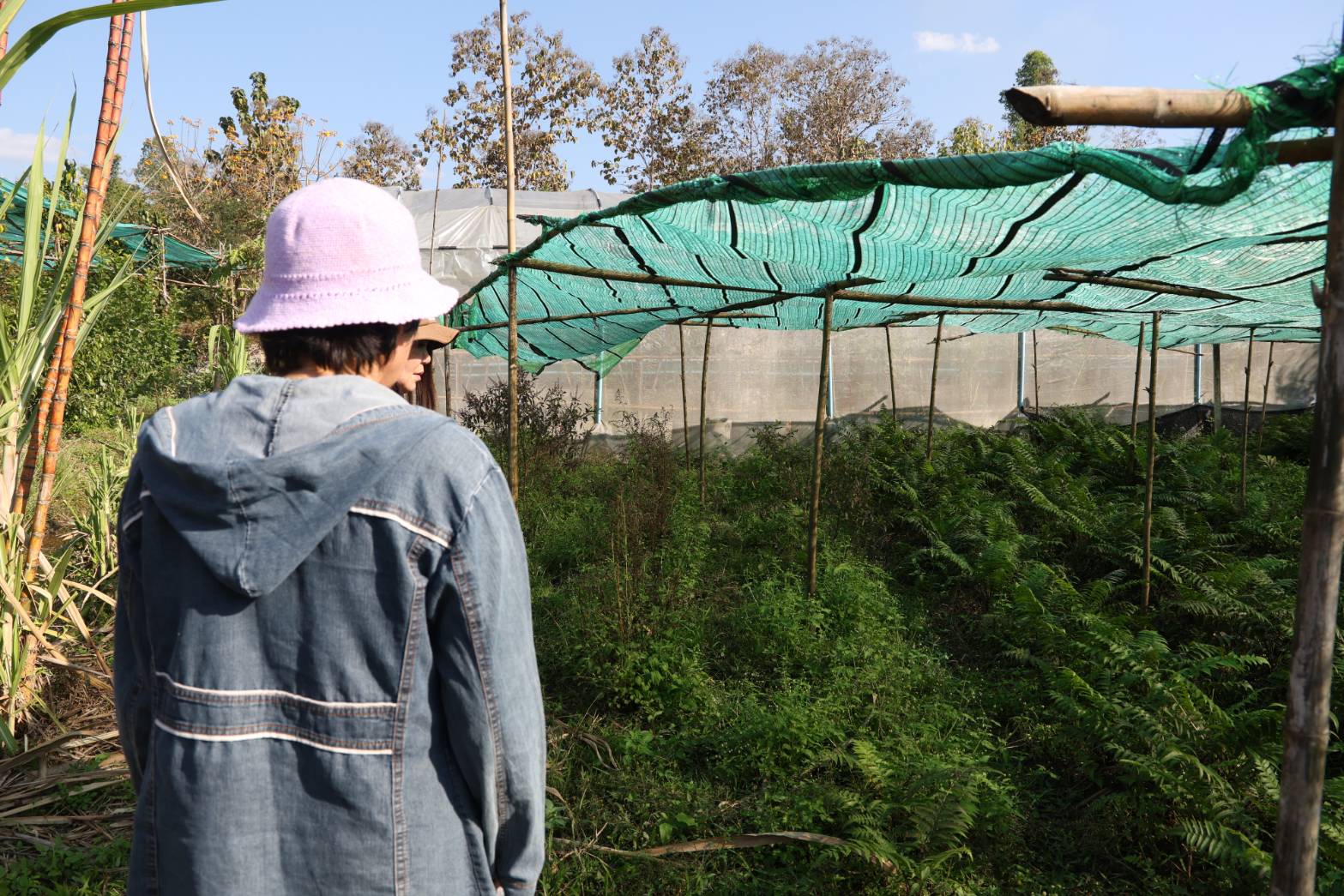 title - กพม. ลงพื้นที่ติดตามผล Smart Farmer จ.ลำพูน อินทรีย์เด่น PGS ปัง