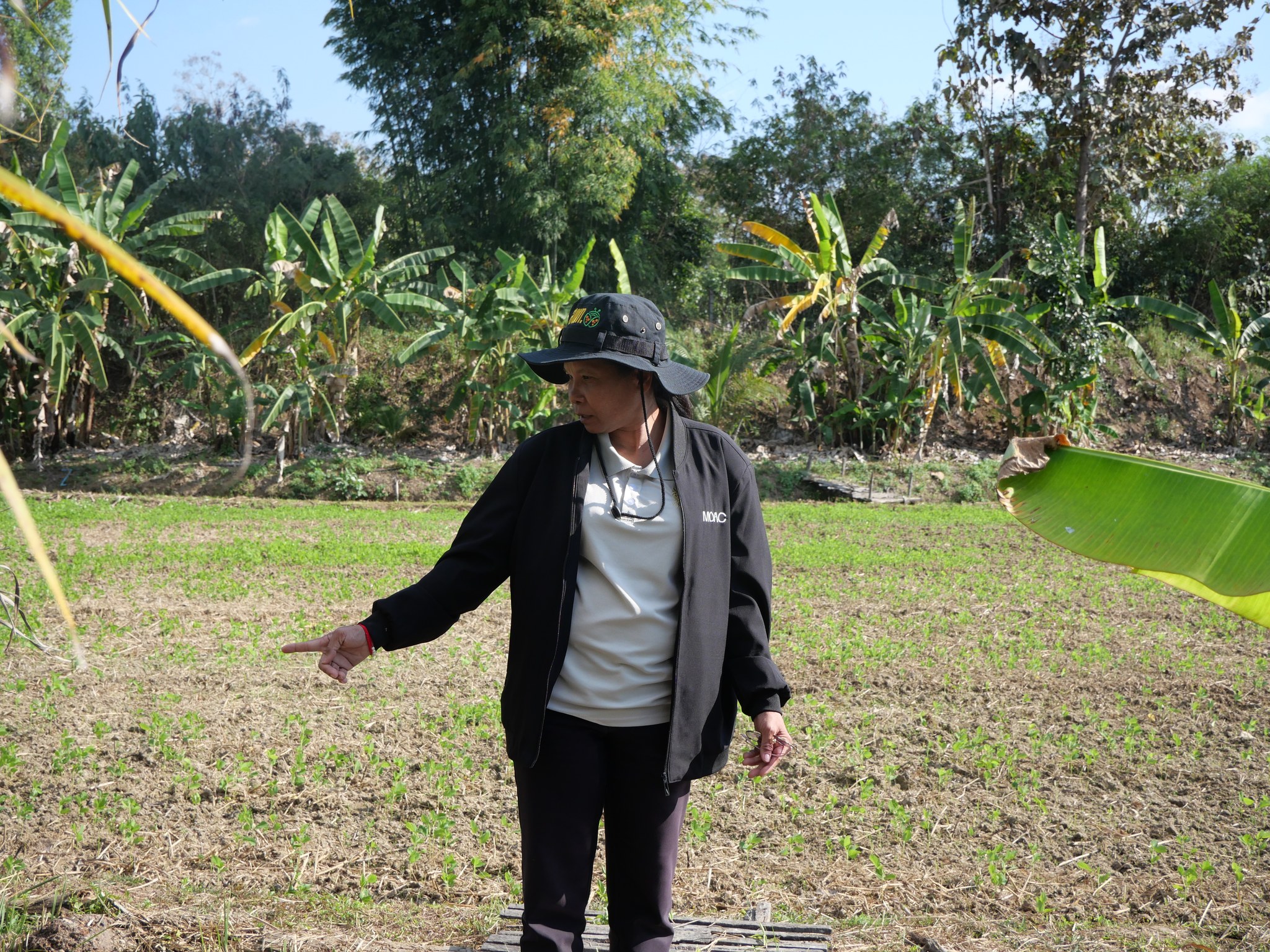 title - กพม. ลงพื้นที่ติดตามผล Smart Farmer จ.ลำพูน อินทรีย์เด่น PGS ปัง