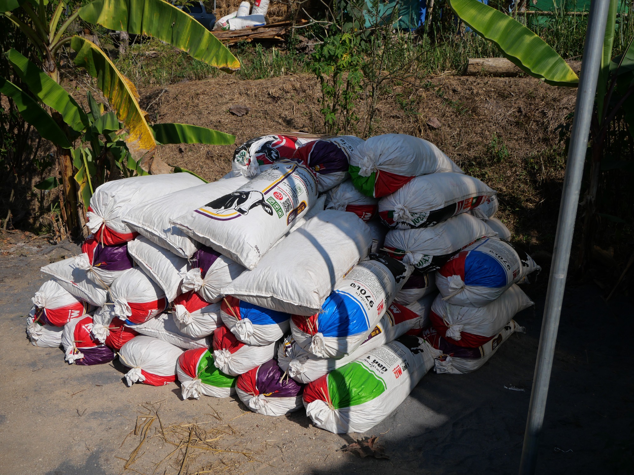 title - กพม. ลงพื้นที่ติดตามผล Smart Farmer จ.ลำพูน อินทรีย์เด่น PGS ปัง