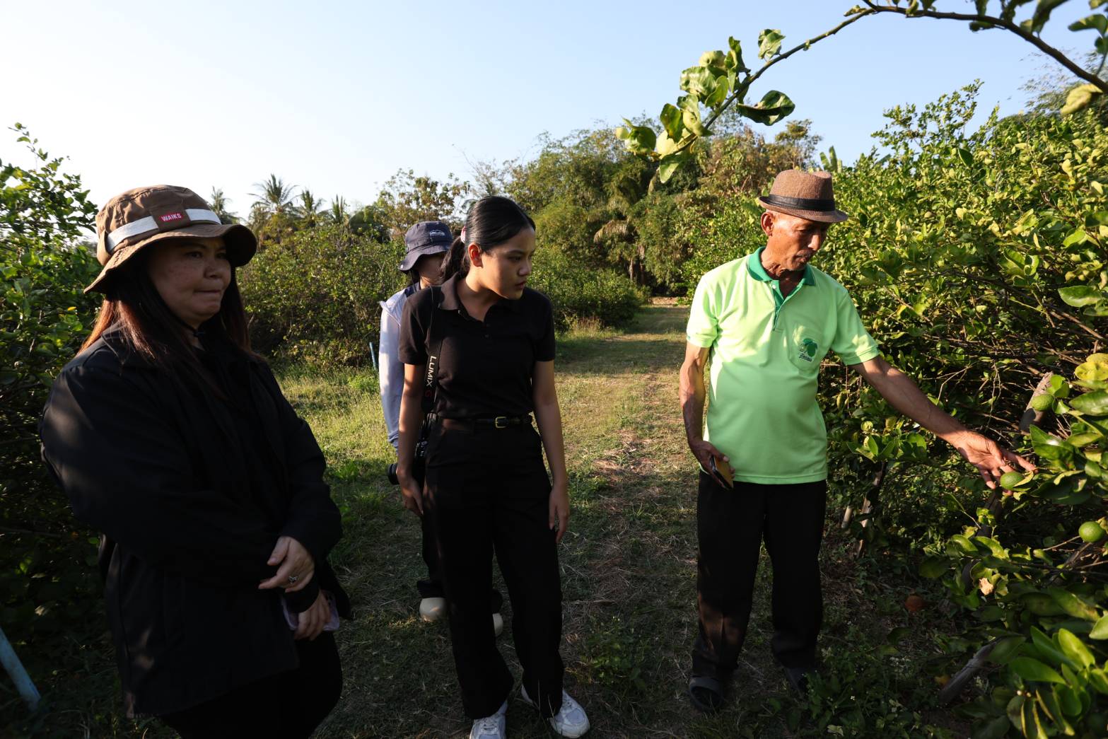 title - กพม. ติดตามผล Smart Farmer ต้นแบบเด่นมะนาวตาฮิติ นายบุญลือ จ.สุโขทัย