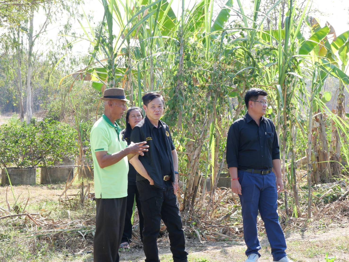 title - กพม. ติดตามผล Smart Farmer ต้นแบบเด่นมะนาวตาฮิติ นายบุญลือ จ.สุโขทัย