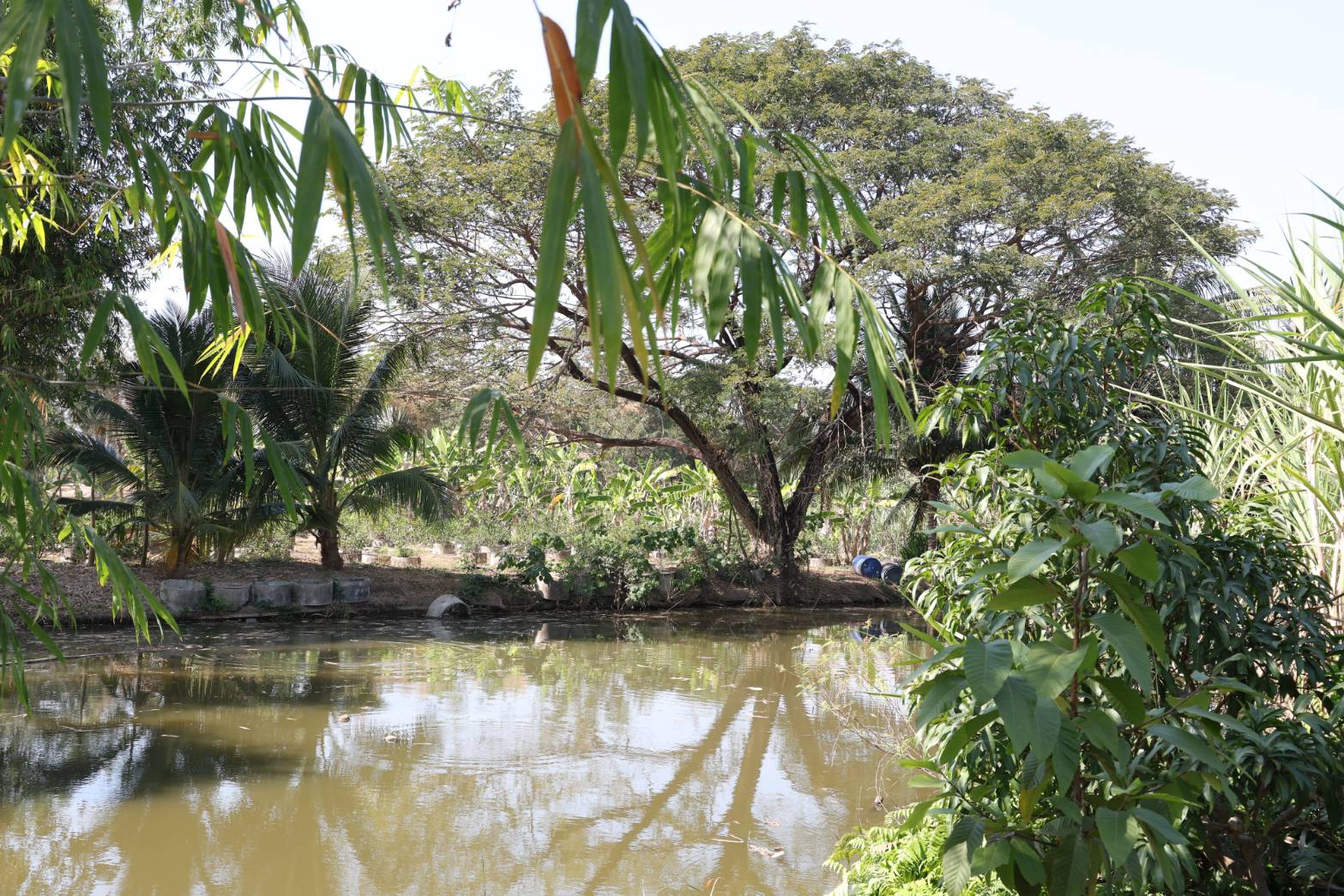 title - กพม. ติดตามผล Smart Farmer ต้นแบบเด่นมะนาวตาฮิติ นายบุญลือ จ.สุโขทัย
