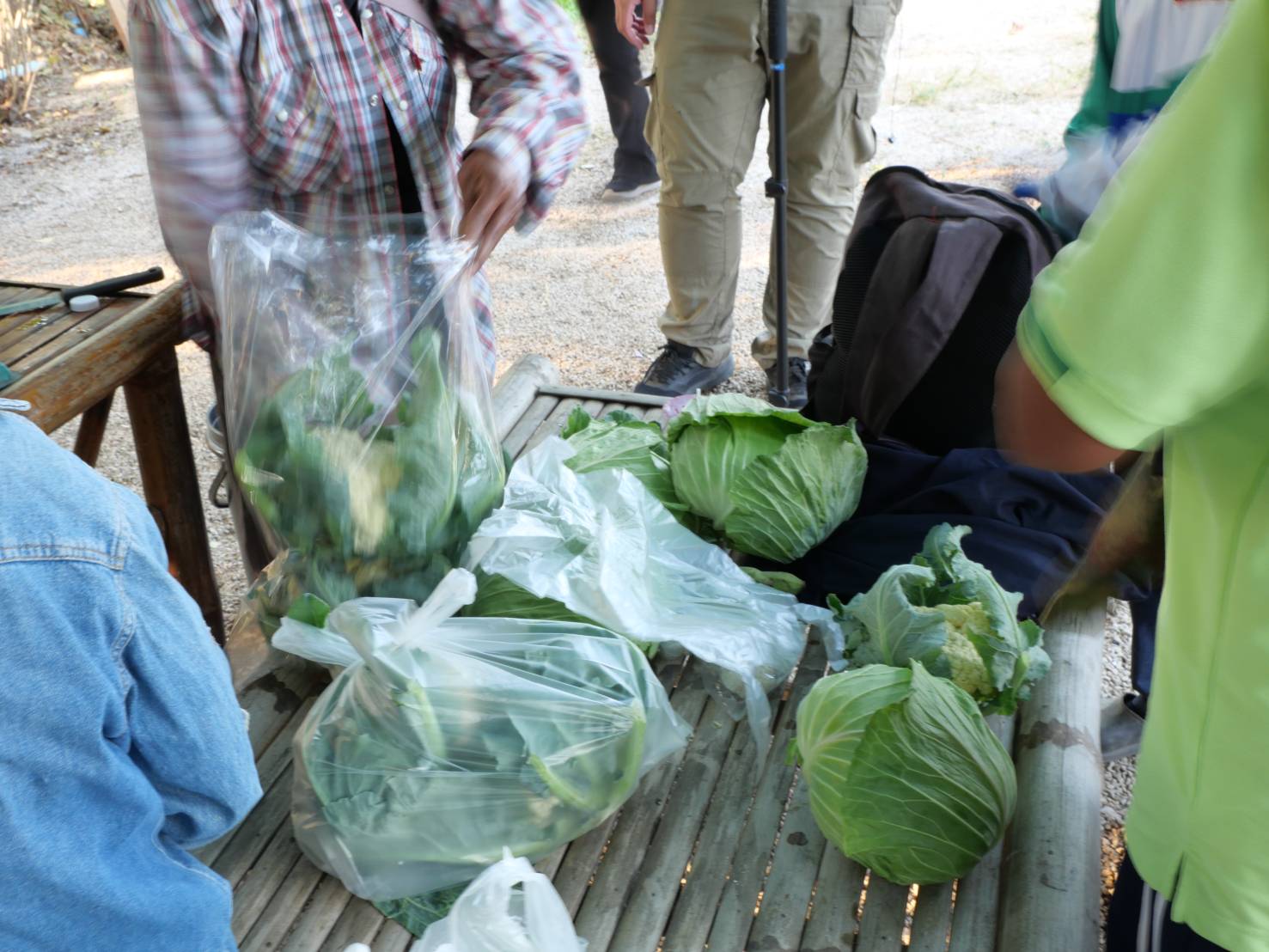 title - กพม. ติดตามผล Smart Farmer ต้นแบบเด่นมะนาวตาฮิติ นายบุญลือ จ.สุโขทัย