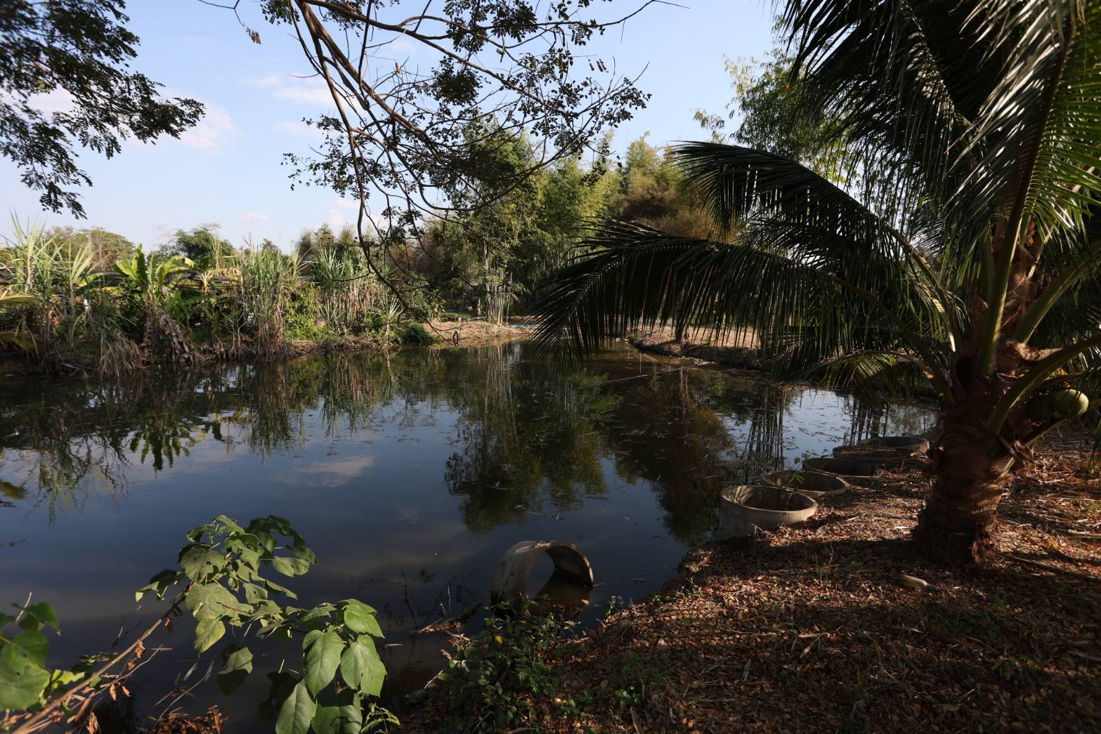title - กพม. ติดตามผล Smart Farmer ต้นแบบเด่นมะนาวตาฮิติ นายบุญลือ จ.สุโขทัย