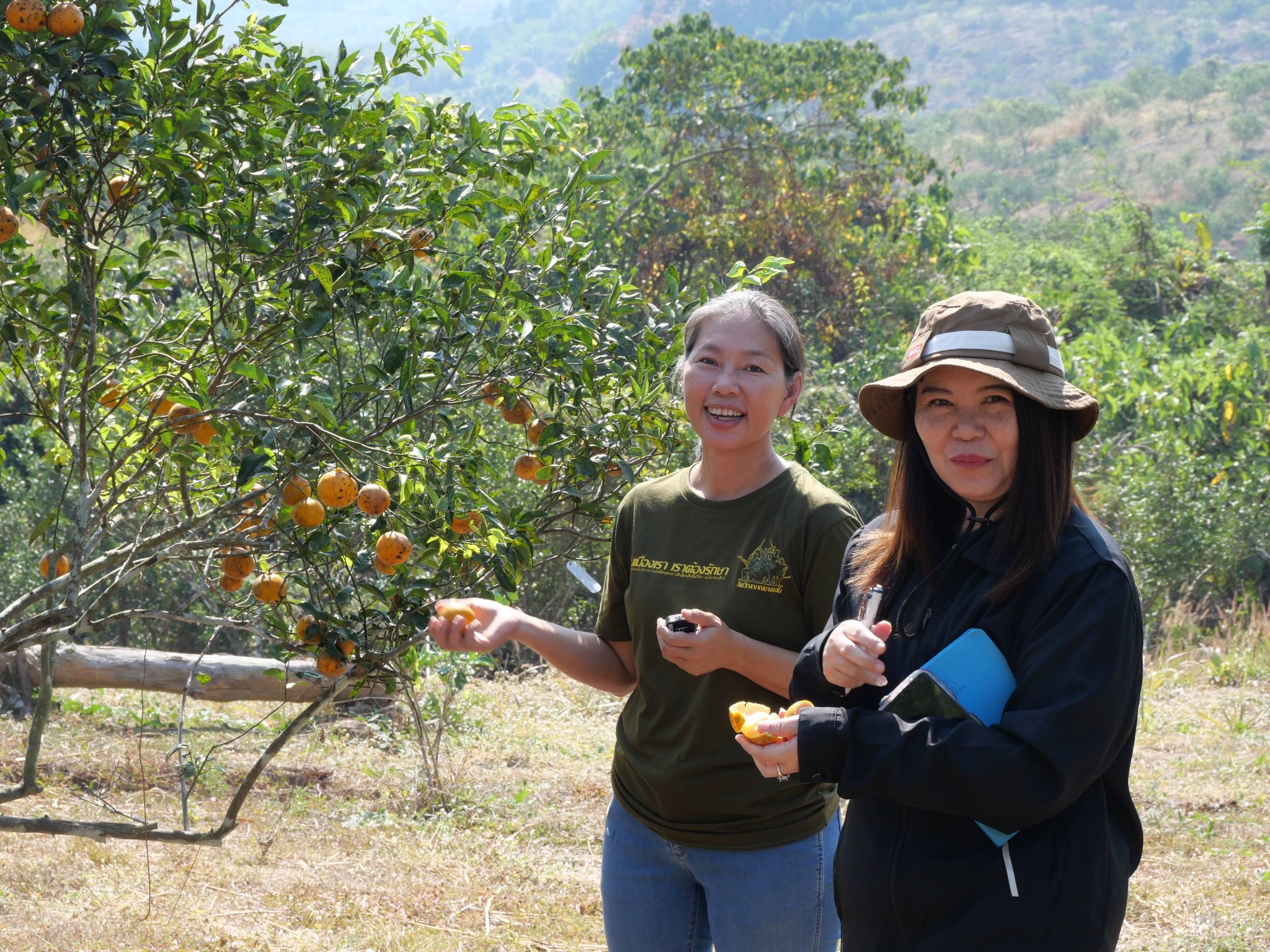 กพม. ติดตามผล Smart Farmer แม่สิน จ.สุโขทัย