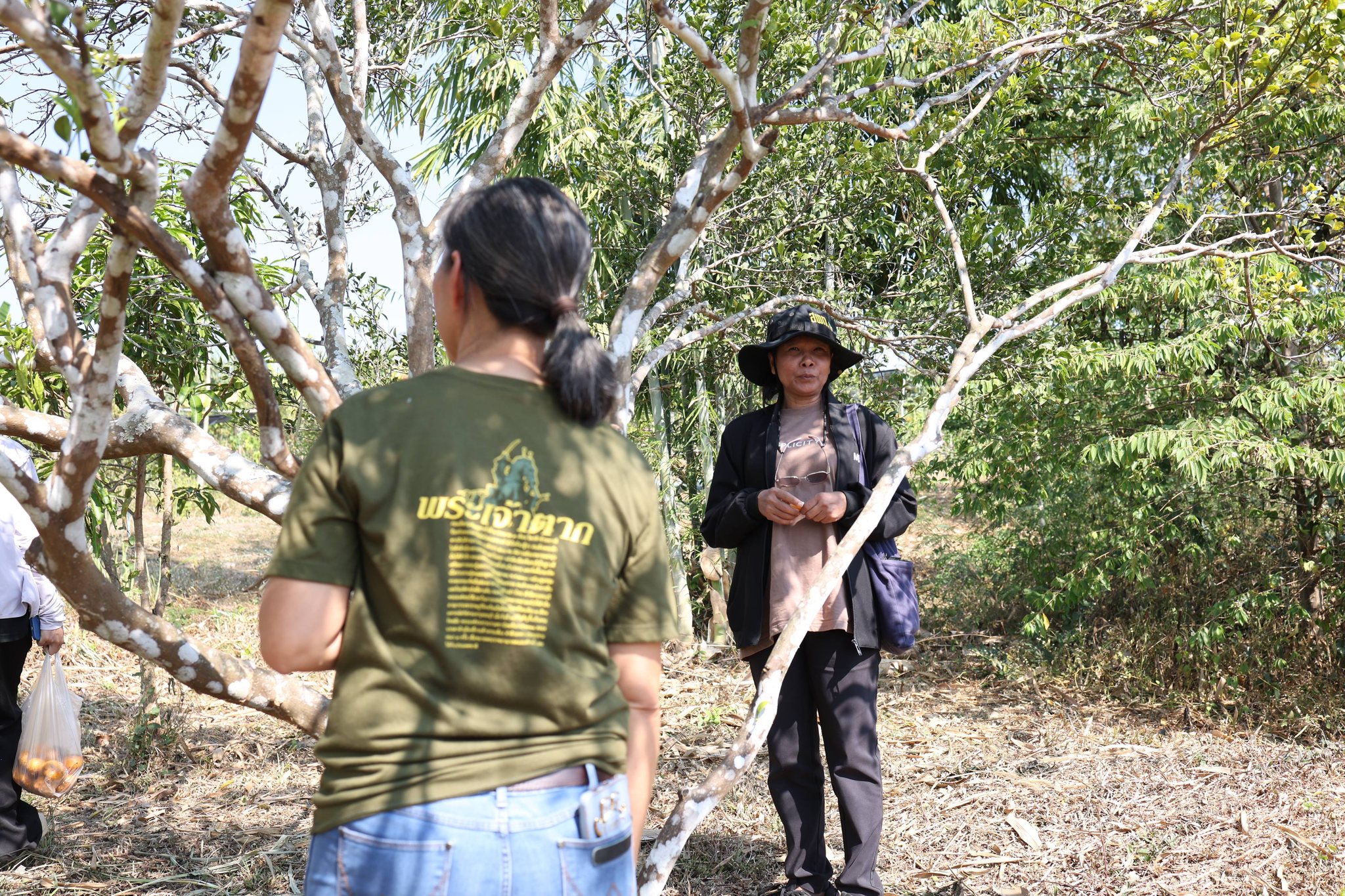 title - กพม. ติดตามผล Smart Farmer แม่สิน จ.สุโขทัย