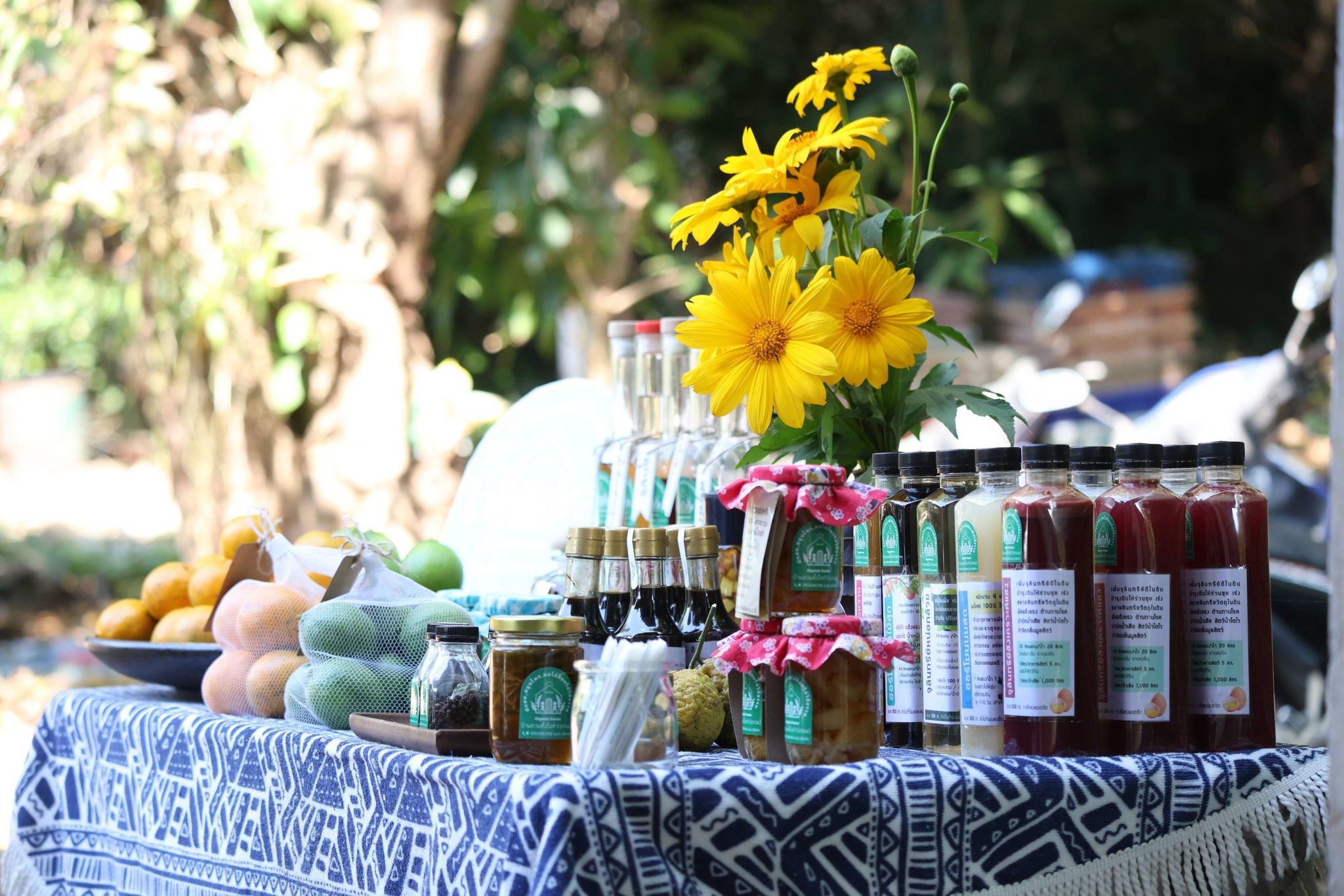 title - กพม. ติดตามผล Smart Farmer แม่สิน จ.สุโขทัย