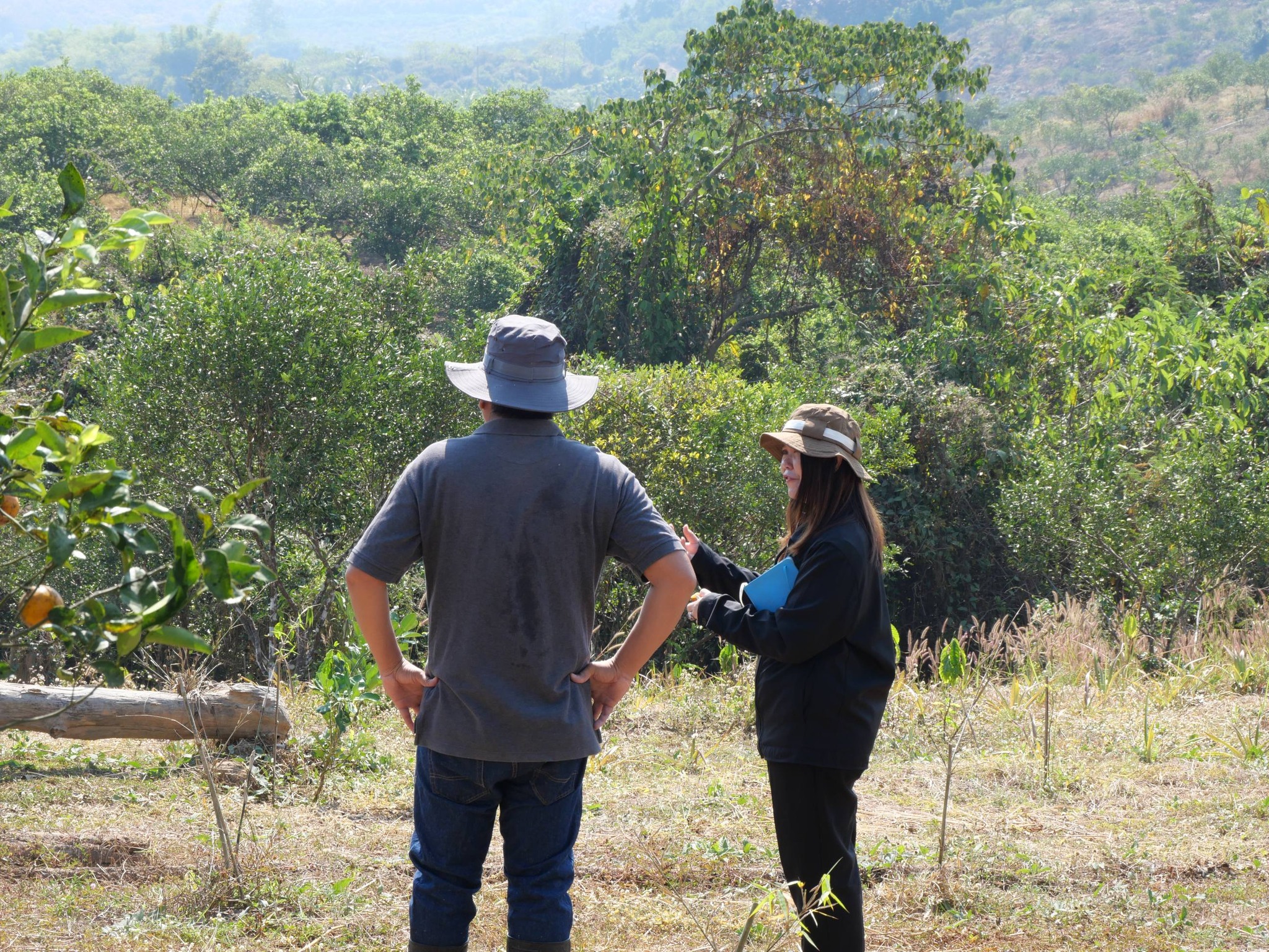 title - กพม. ติดตามผล Smart Farmer แม่สิน จ.สุโขทัย
