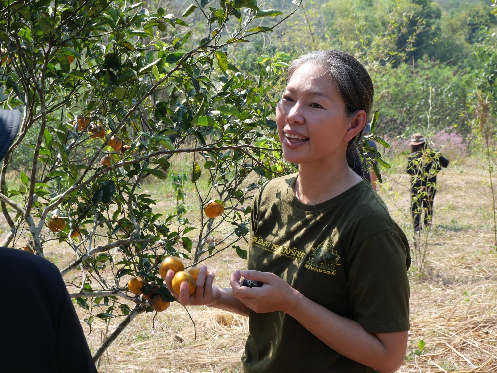 title - กพม. ติดตามผล Smart Farmer แม่สิน จ.สุโขทัย