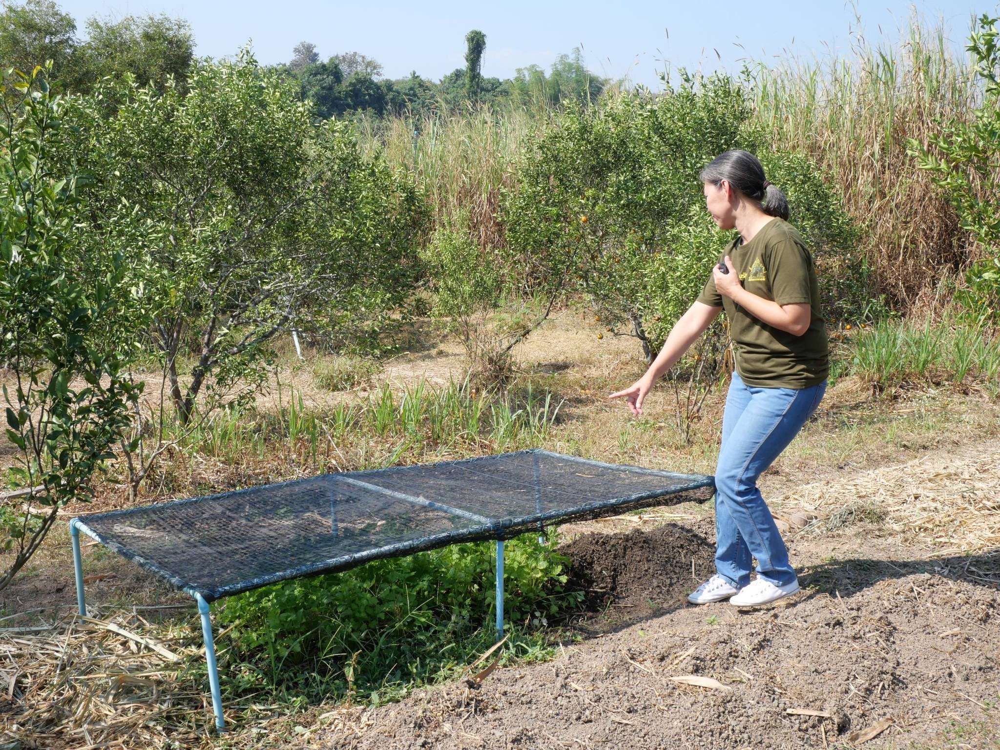 title - กพม. ติดตามผล Smart Farmer แม่สิน จ.สุโขทัย