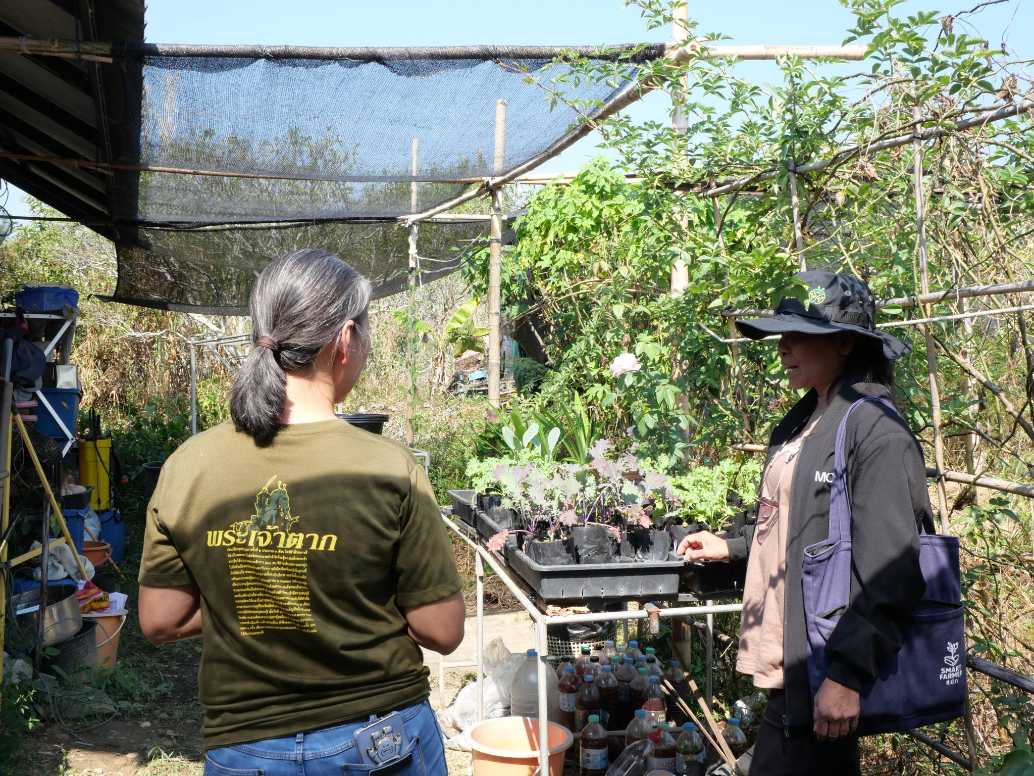 title - กพม. ติดตามผล Smart Farmer แม่สิน จ.สุโขทัย