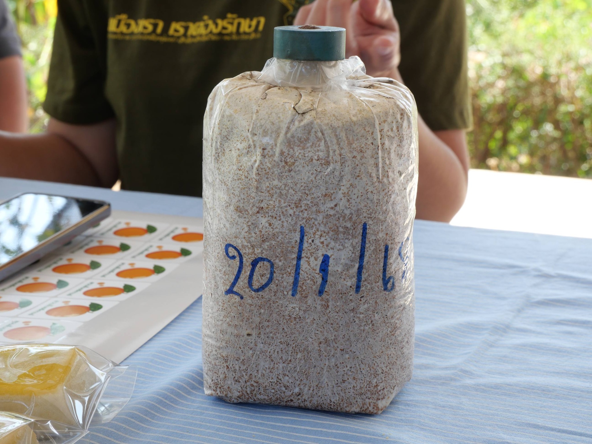 title - กพม. ติดตามผล Smart Farmer แม่สิน จ.สุโขทัย