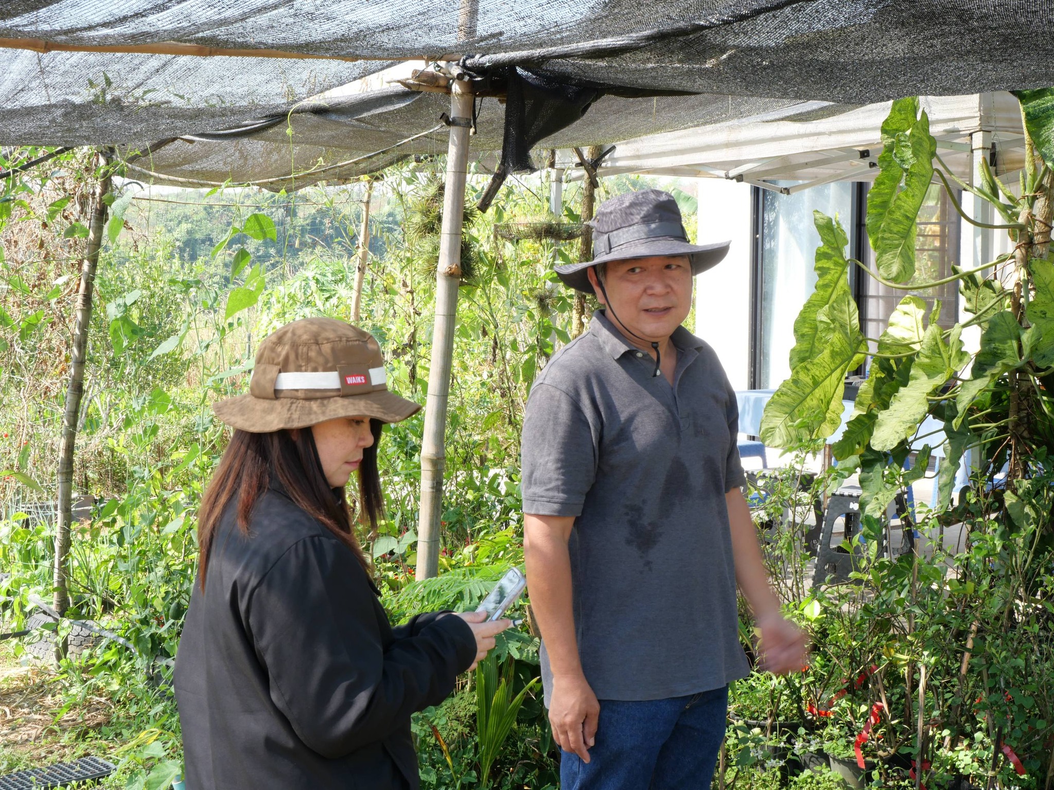 title - กพม. ติดตามผล Smart Farmer แม่สิน จ.สุโขทัย