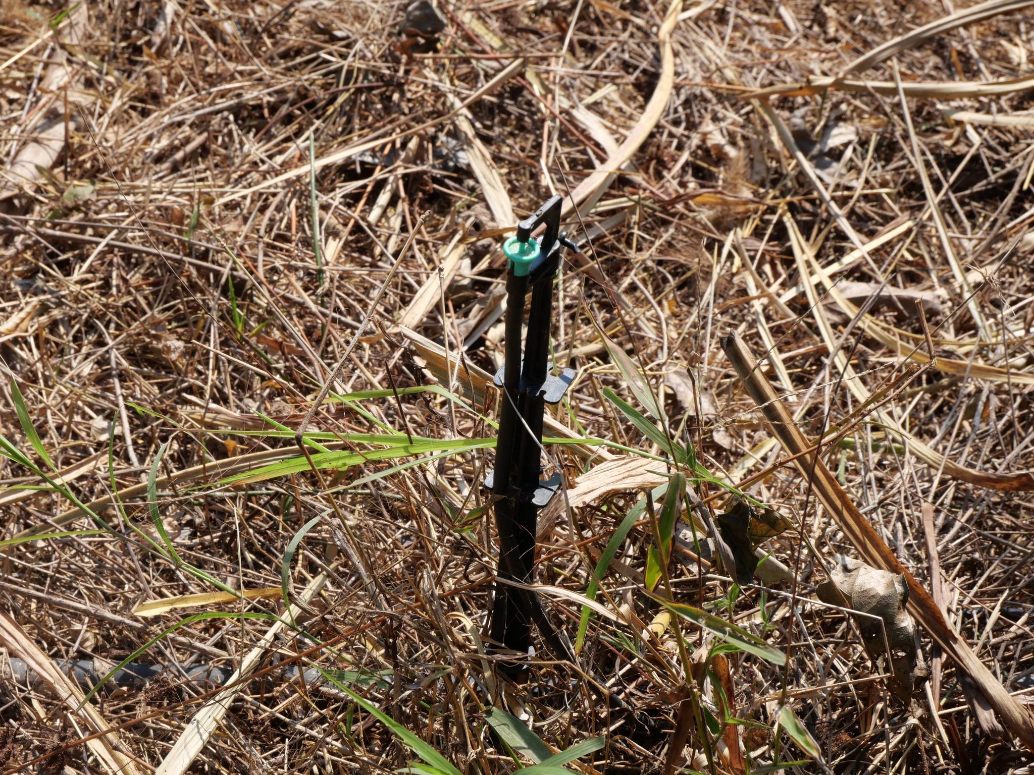 title - กพม. ติดตามผล Smart Farmer แม่สิน จ.สุโขทัย