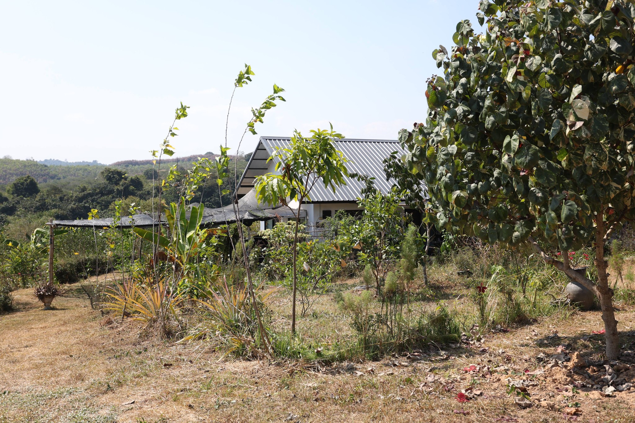 title - กพม. ติดตามผล Smart Farmer แม่สิน จ.สุโขทัย