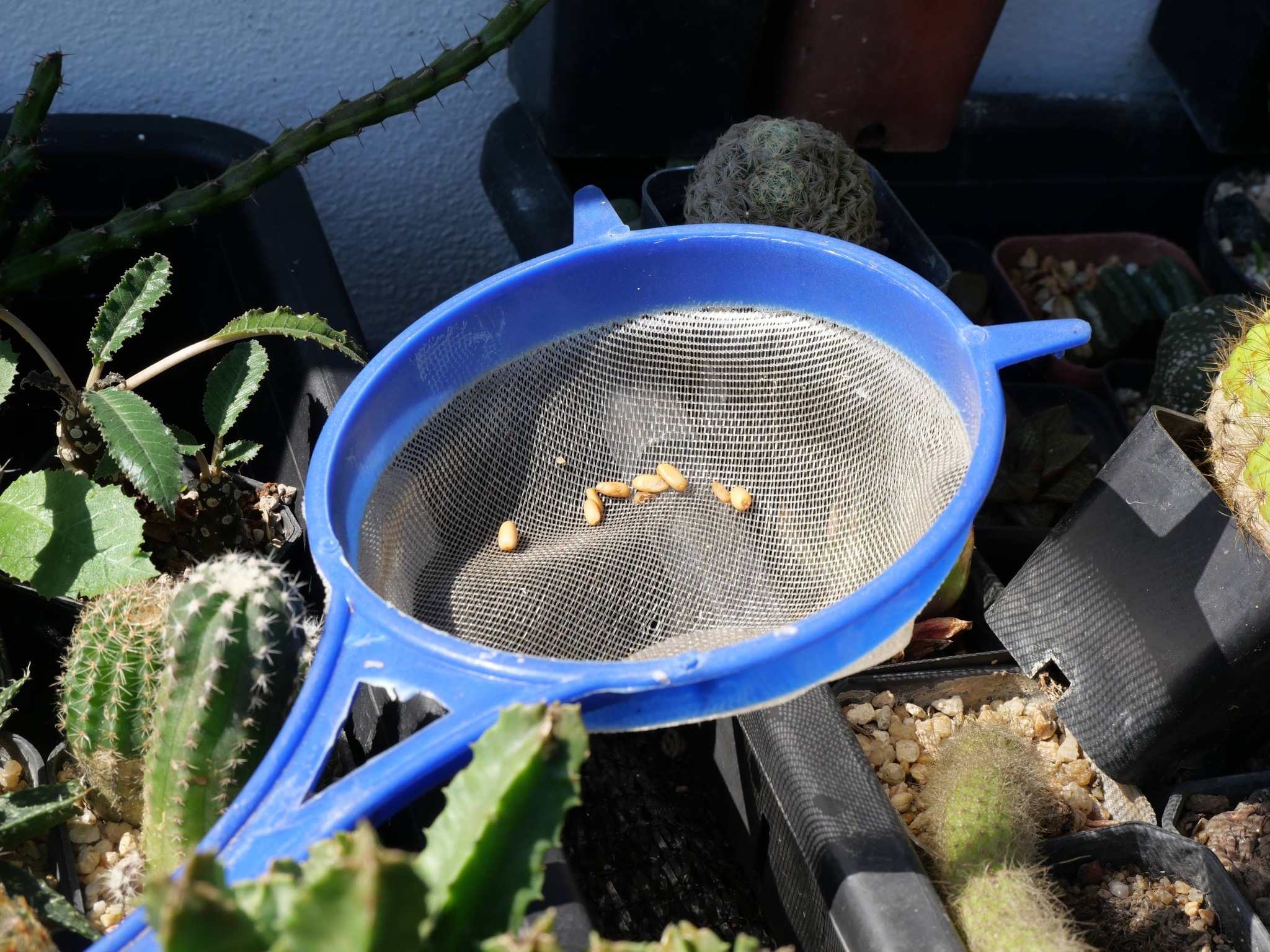 title - กพม. ติดตามผล Smart Farmer แม่สิน จ.สุโขทัย