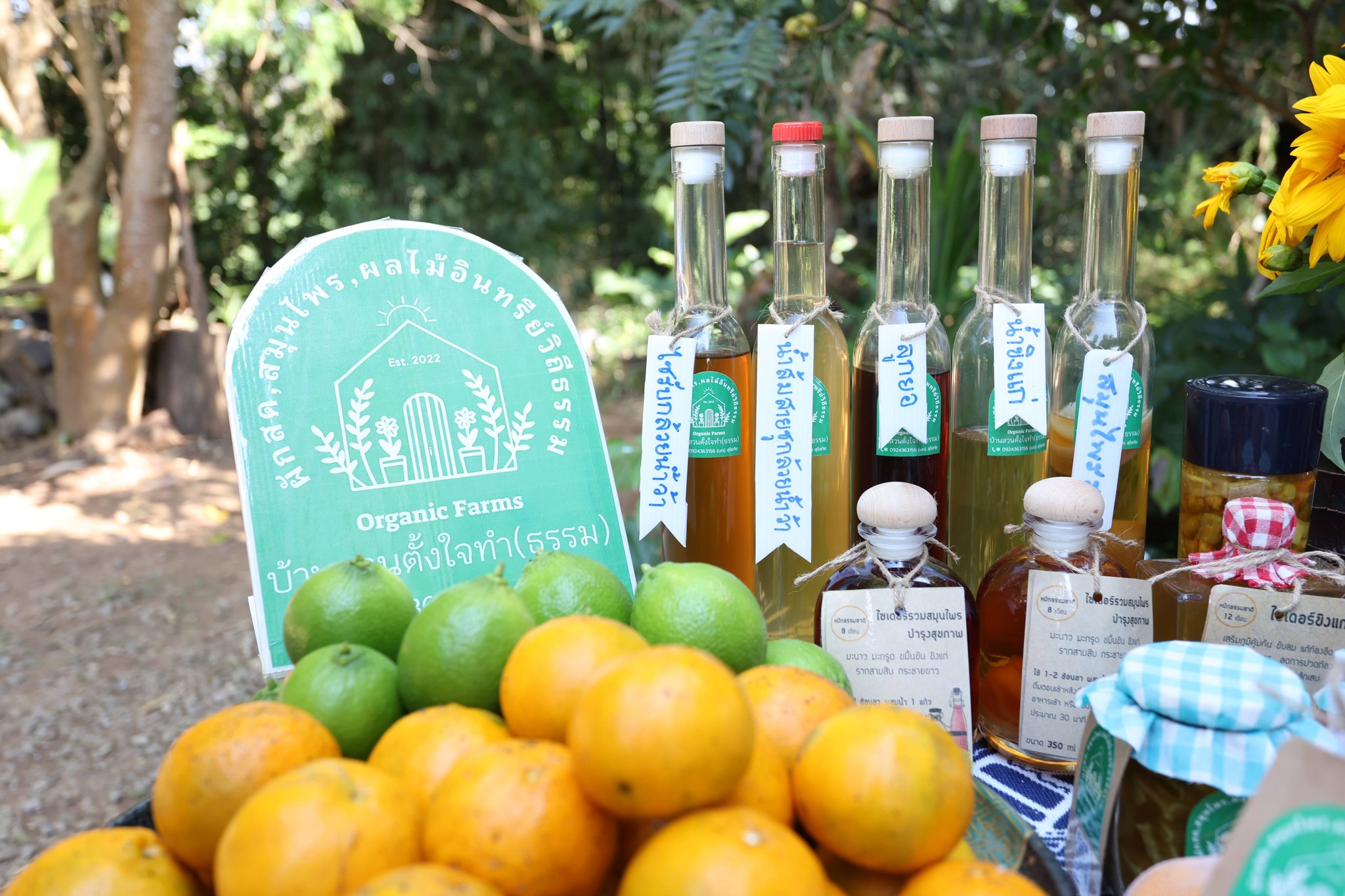 title - กพม. ติดตามผล Smart Farmer แม่สิน จ.สุโขทัย