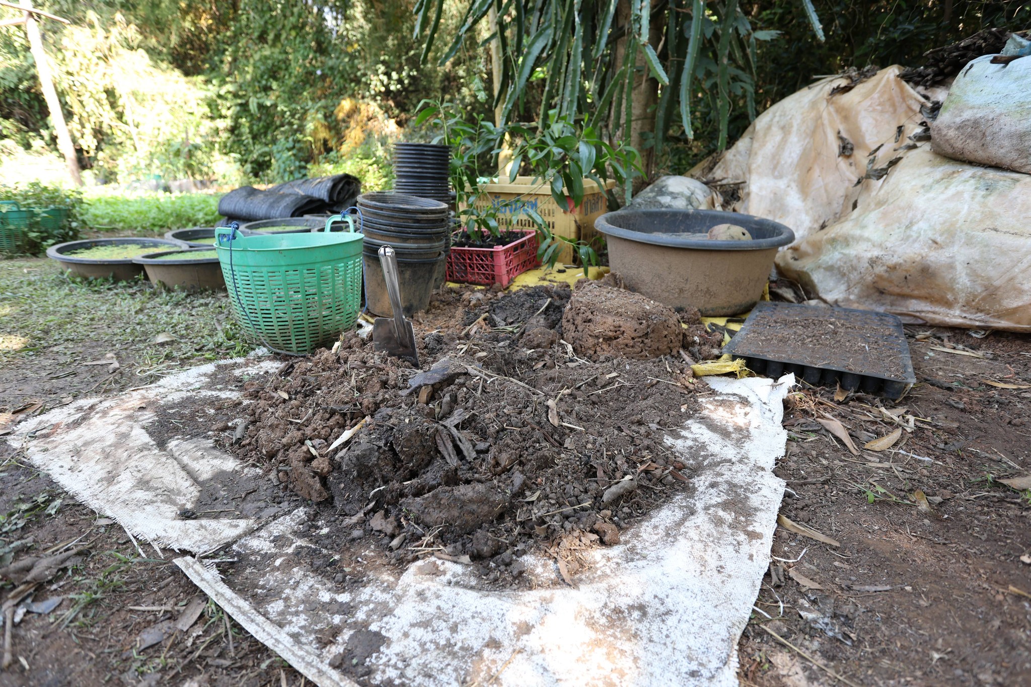 title - กพม. ติดตามผล Smart Farmer แม่สิน จ.สุโขทัย