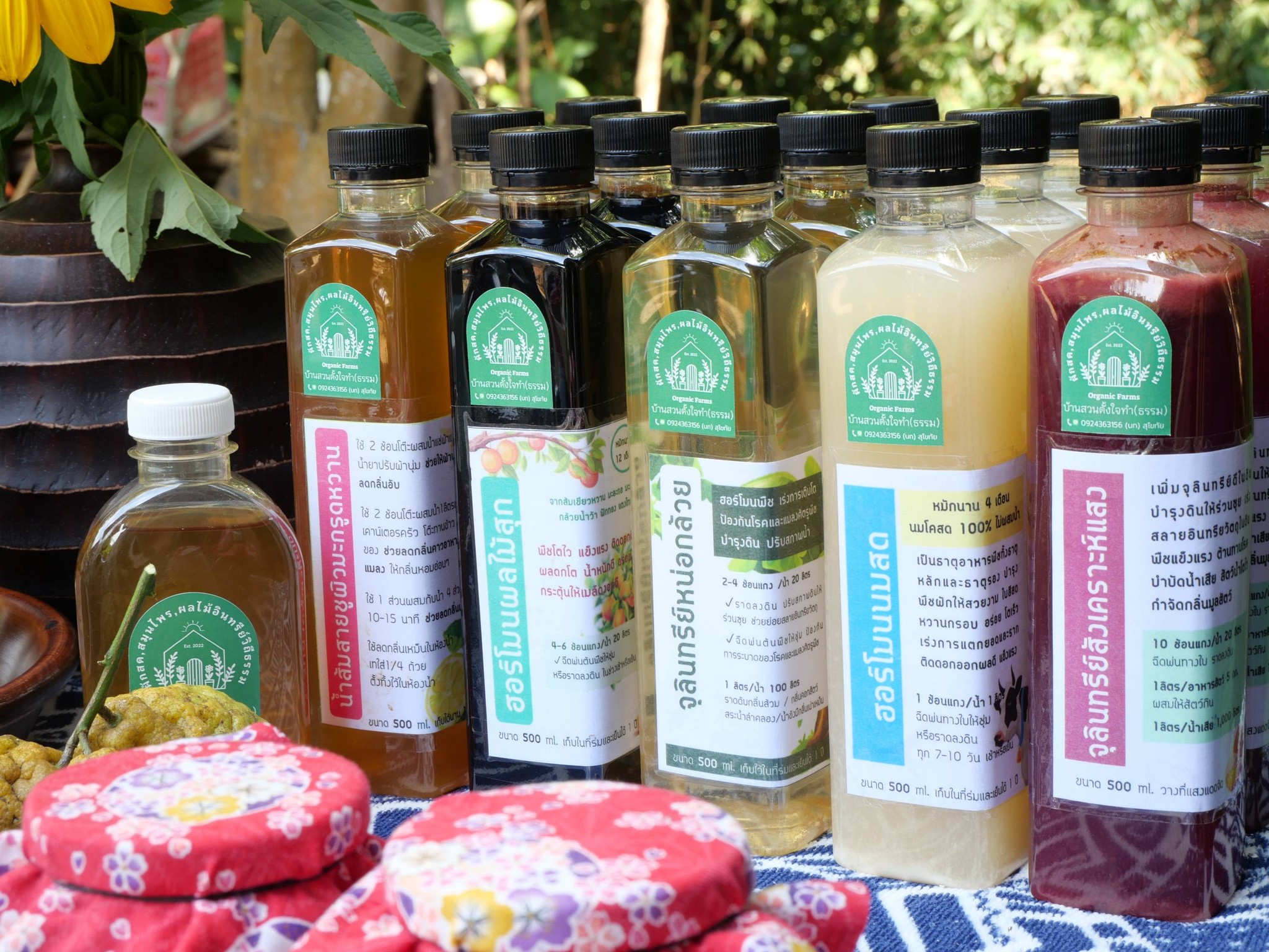 title - กพม. ติดตามผล Smart Farmer แม่สิน จ.สุโขทัย