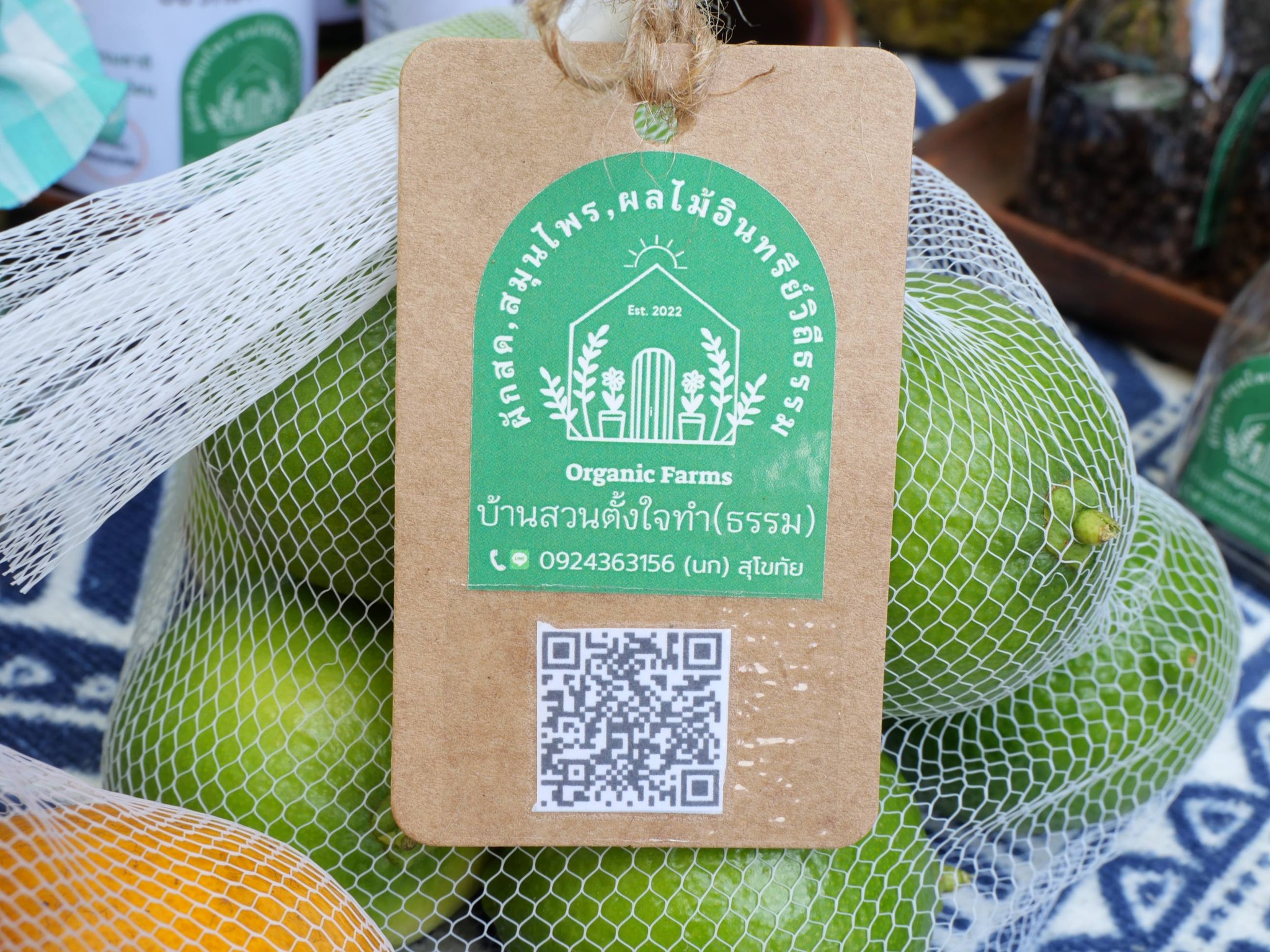 title - กพม. ติดตามผล Smart Farmer แม่สิน จ.สุโขทัย