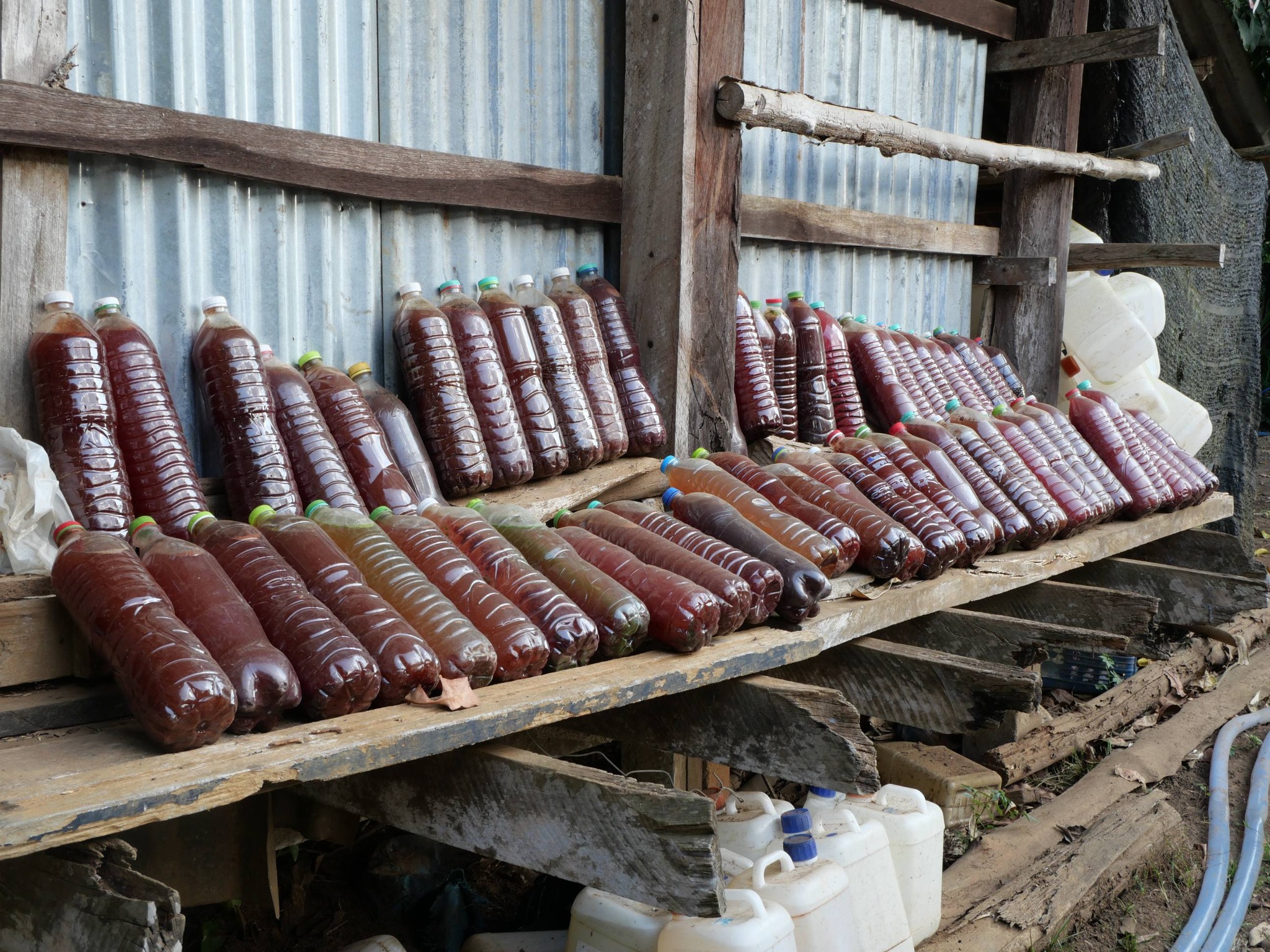 title - กพม. ติดตามผล Smart Farmer แม่สิน จ.สุโขทัย