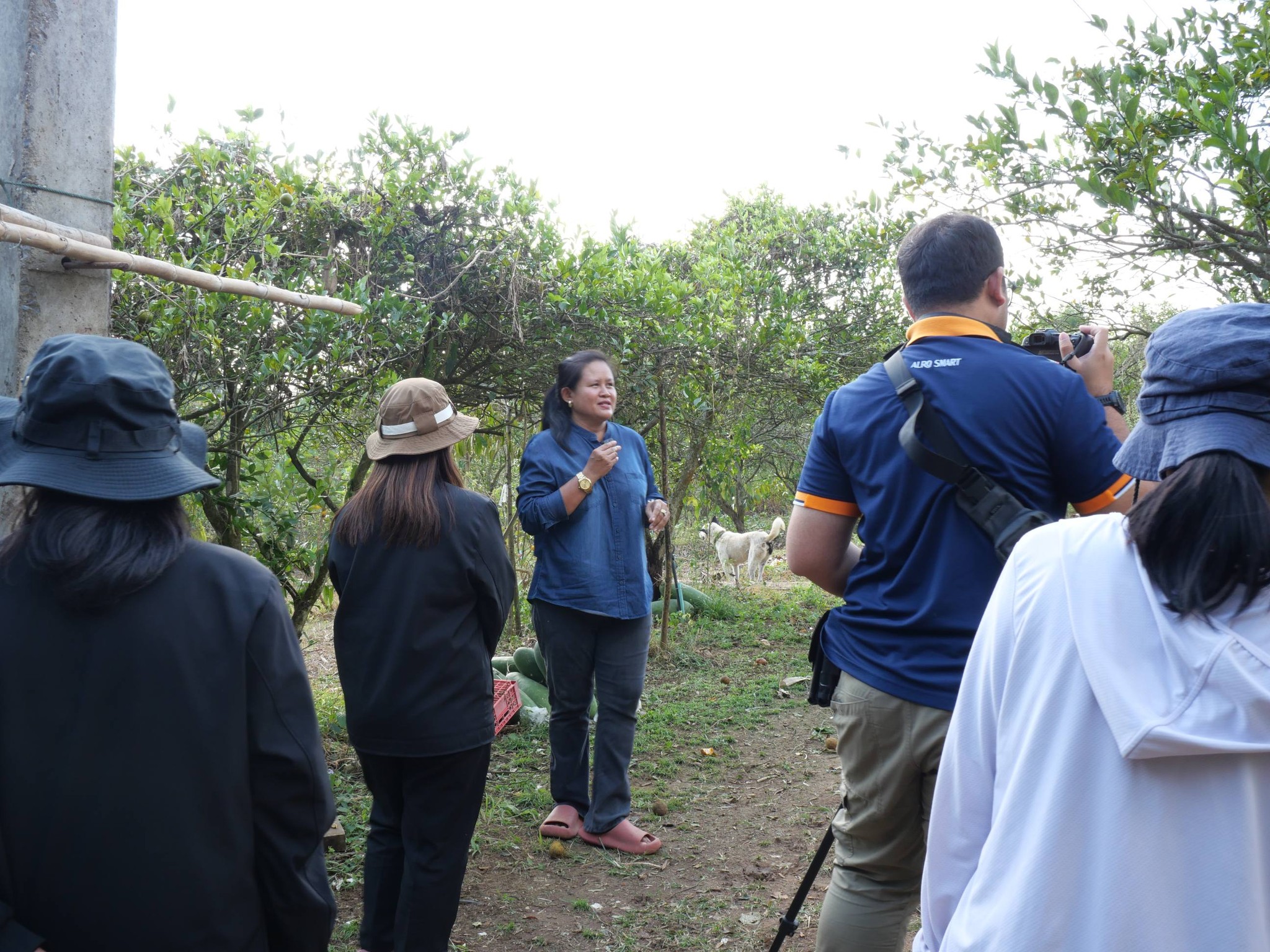 title - กพม. ติดตามผล Smart Farmer แม่สิน จ.สุโขทัย