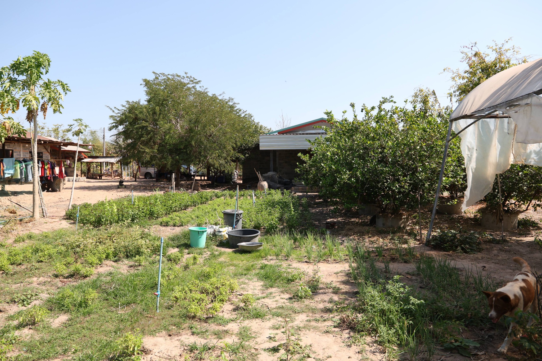 title - กพม. ลงพื้นที่เตรียมอบรมเครือข่าย คทช. ส.ป.ก. ปี ‘69