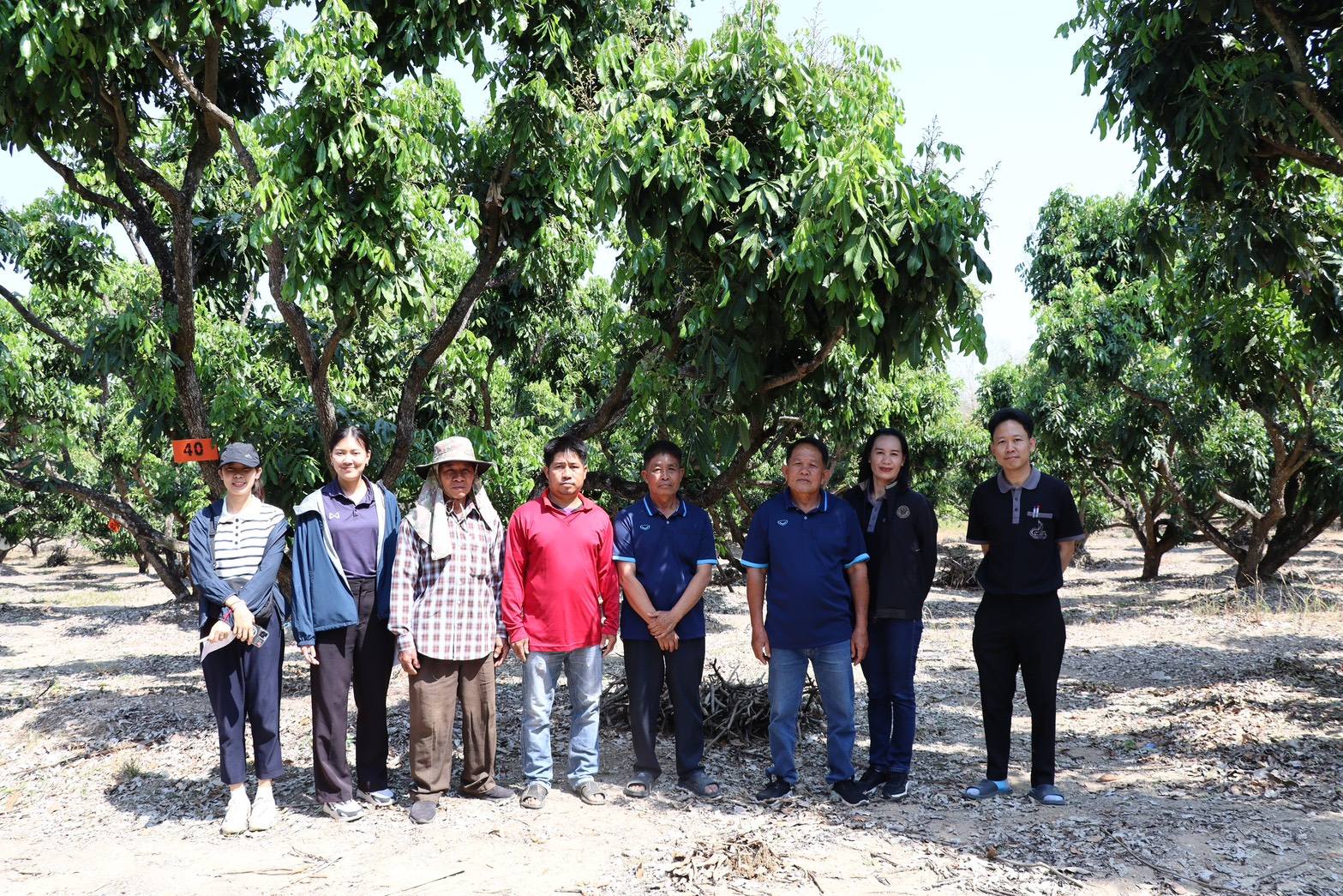 title - กพก. ติดตามการดำเนินงานโครงการระบบส่งเสริมเกษตรแปลงใหญ่ลำไย อ.เทิง จ.เชียงราย