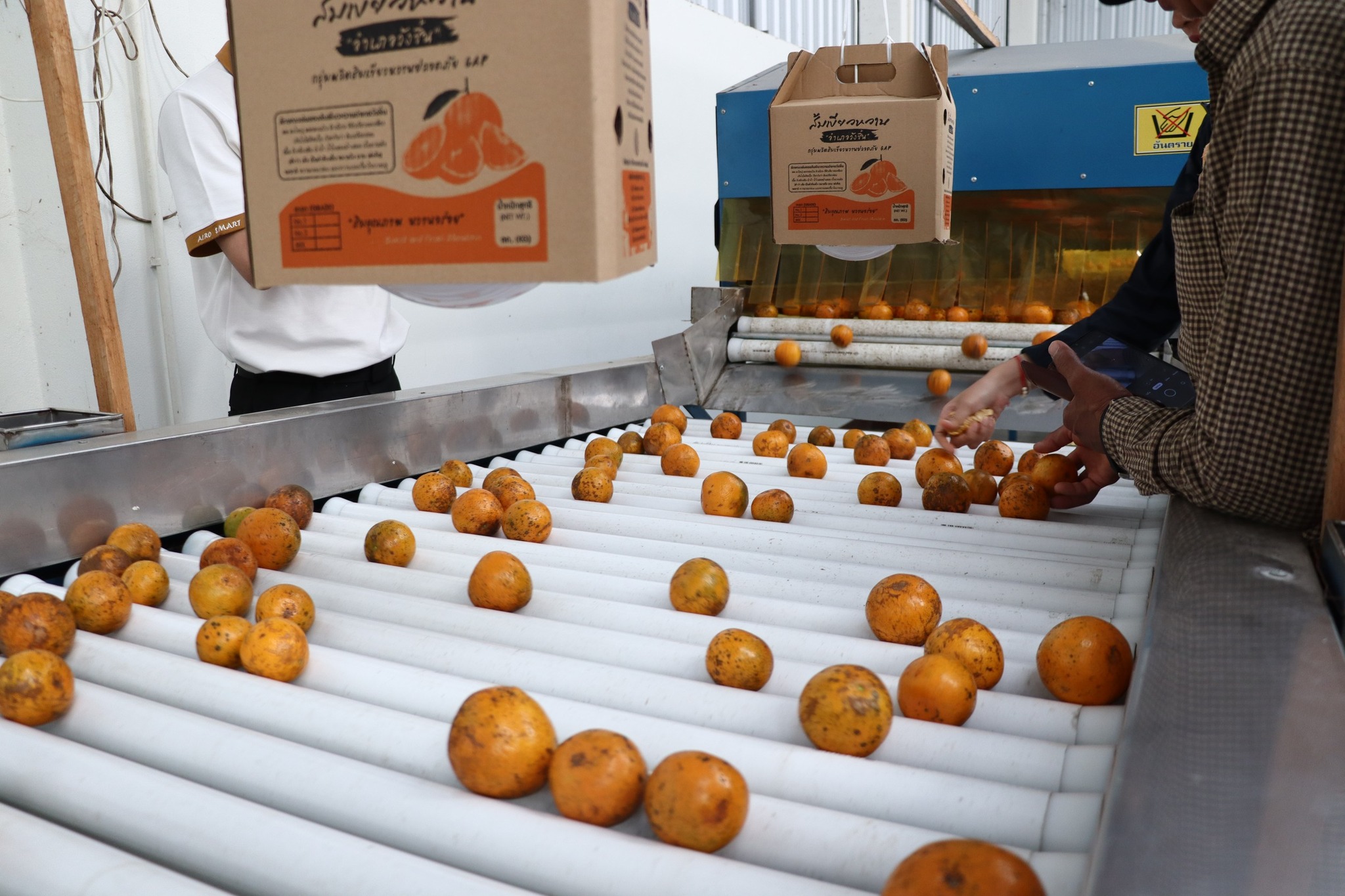 title - กพก. ลงพื้นที่อาคารรวบรวมผลผลิตแปลงใหญ่ส้ม ต.วังชิ้น อ.วังชิ้น จ.แพร่