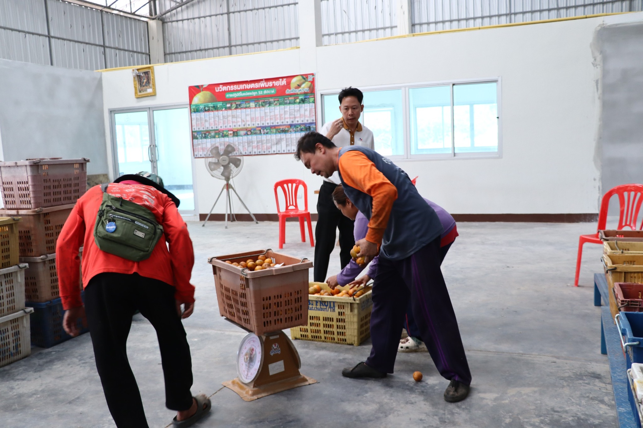 title - กพก. ลงพื้นที่อาคารรวบรวมผลผลิตแปลงใหญ่ส้ม ต.วังชิ้น อ.วังชิ้น จ.แพร่