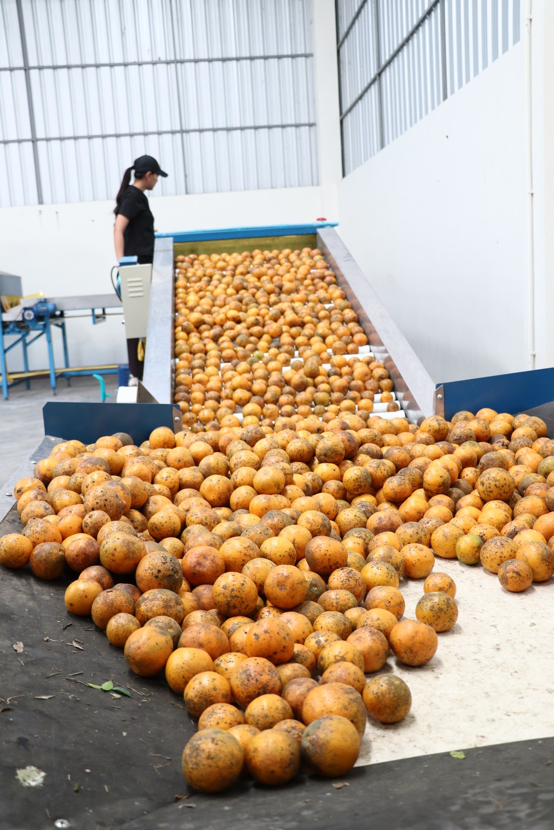 title - กพก. ลงพื้นที่อาคารรวบรวมผลผลิตแปลงใหญ่ส้ม ต.วังชิ้น อ.วังชิ้น จ.แพร่