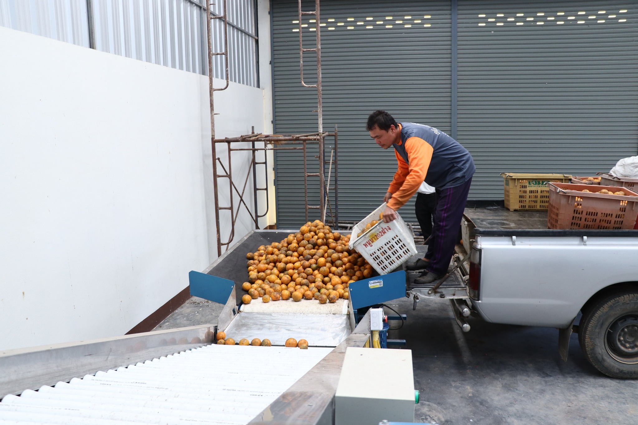 title - กพก. ลงพื้นที่อาคารรวบรวมผลผลิตแปลงใหญ่ส้ม ต.วังชิ้น อ.วังชิ้น จ.แพร่