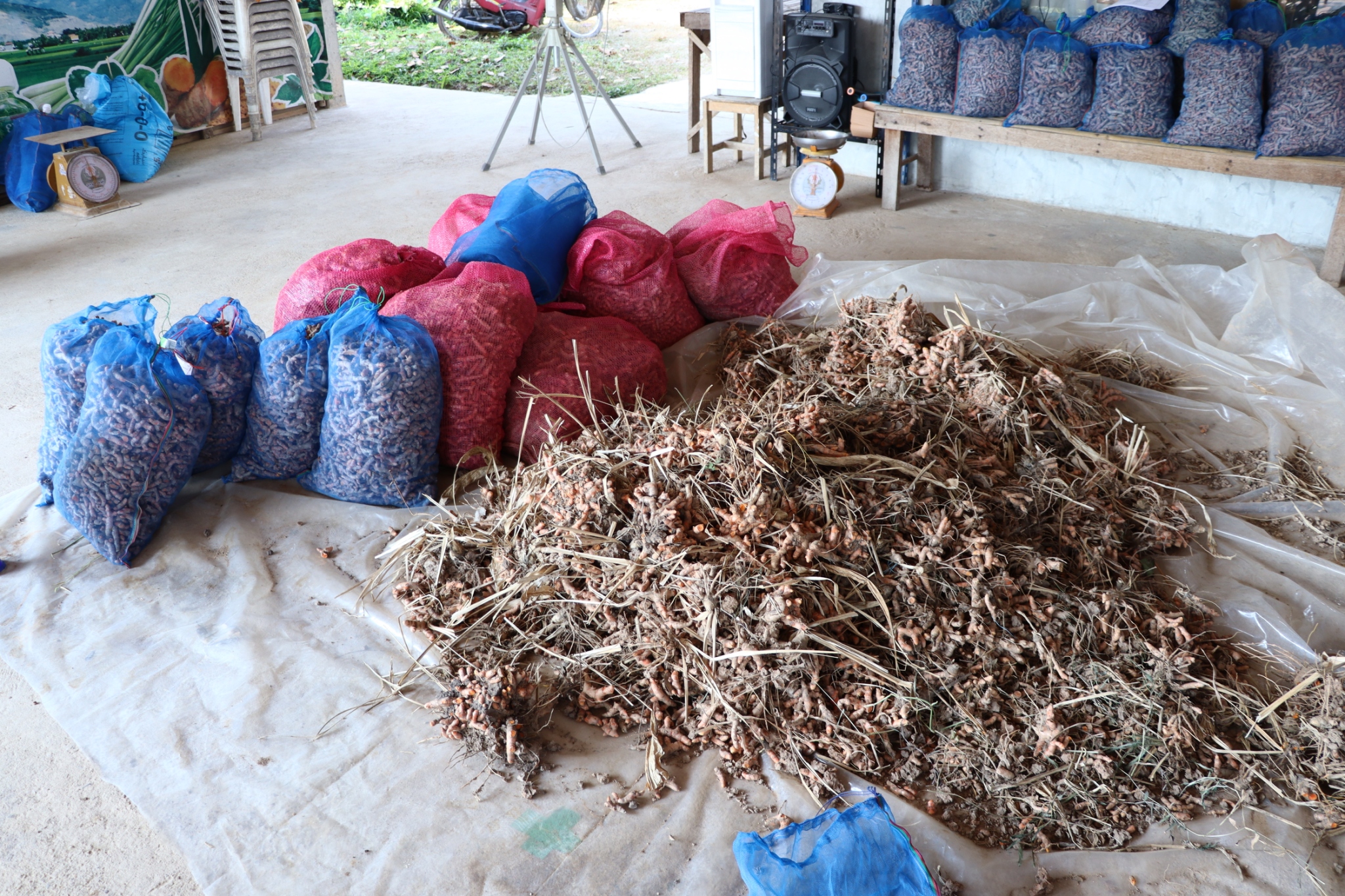 title - กพก. ติดตามการดำเนินงานกลุ่มสมุนไพรแปลงใหญ่ บ่อสวกเฮิร์บ ต.บ่อสวก จ.น่าน