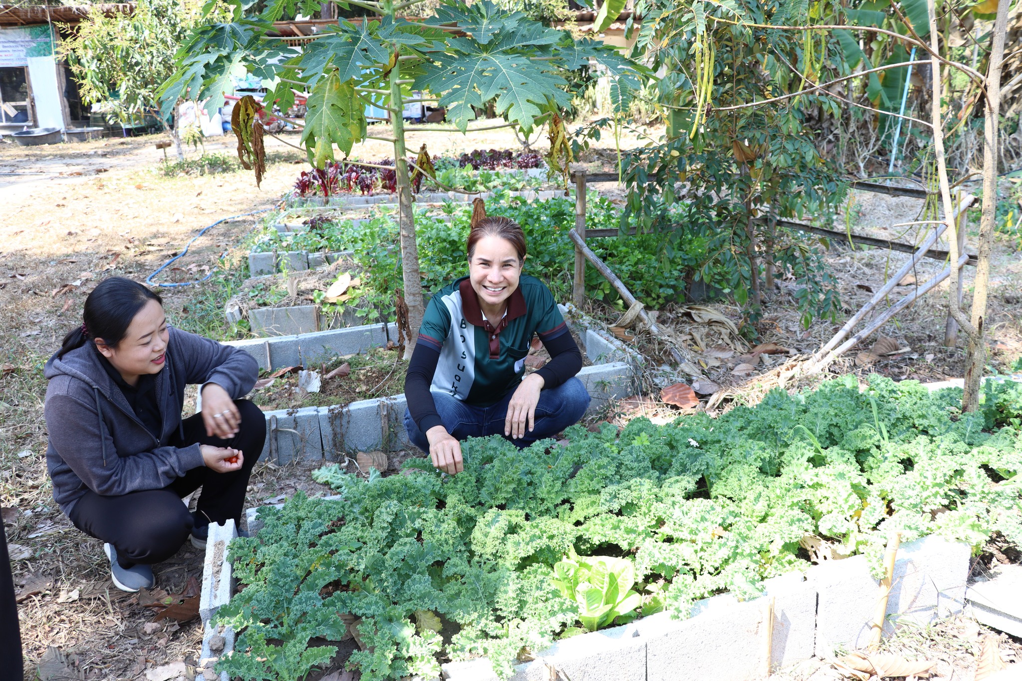 title - กพก. ติดตามการดำเนินงานกลุ่มสมุนไพรแปลงใหญ่ บ่อสวกเฮิร์บ ต.บ่อสวก จ.น่าน